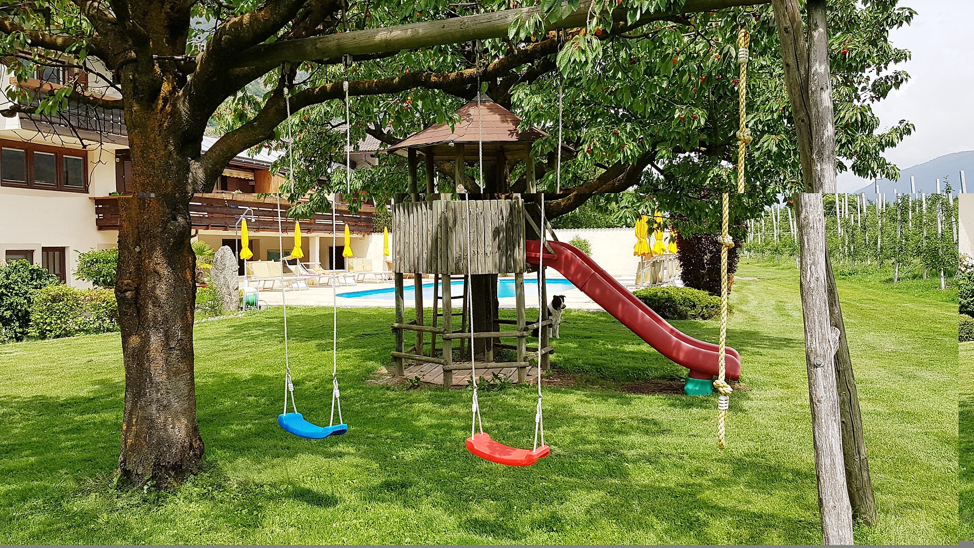 Garten