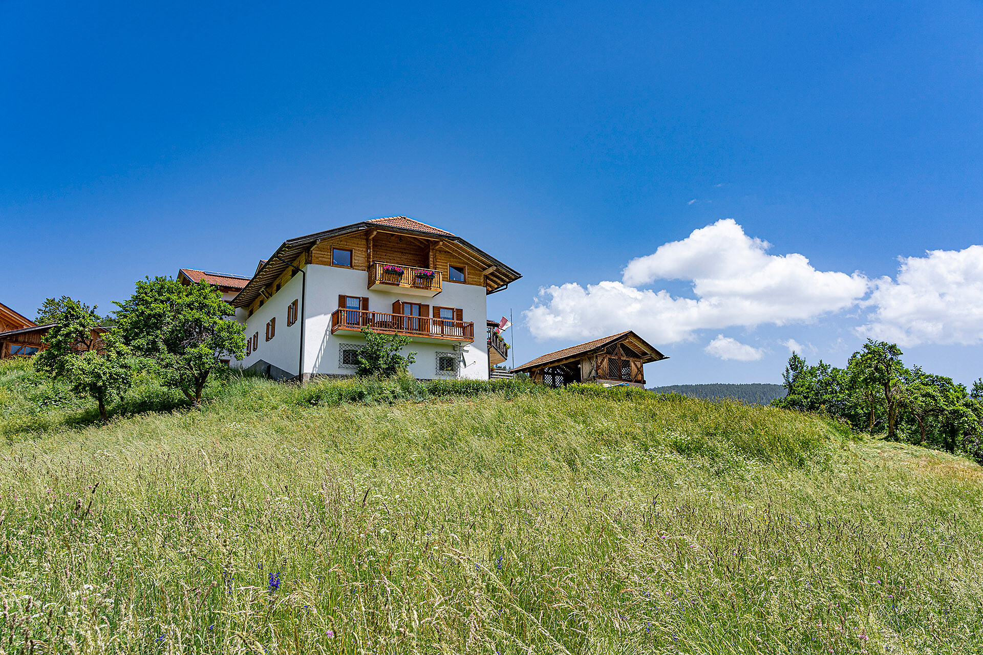 Reinhof