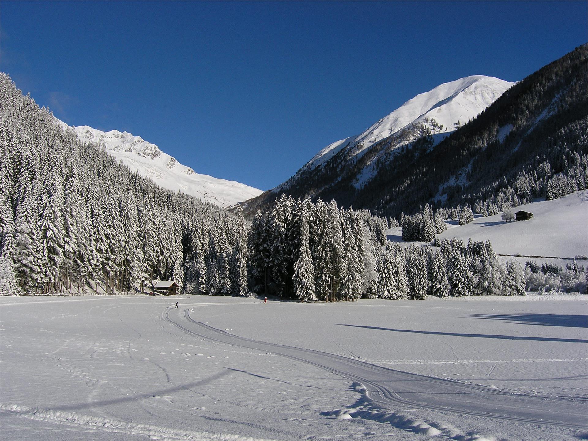 Rotmooshof Valle di Casies 3 suedtirol.info