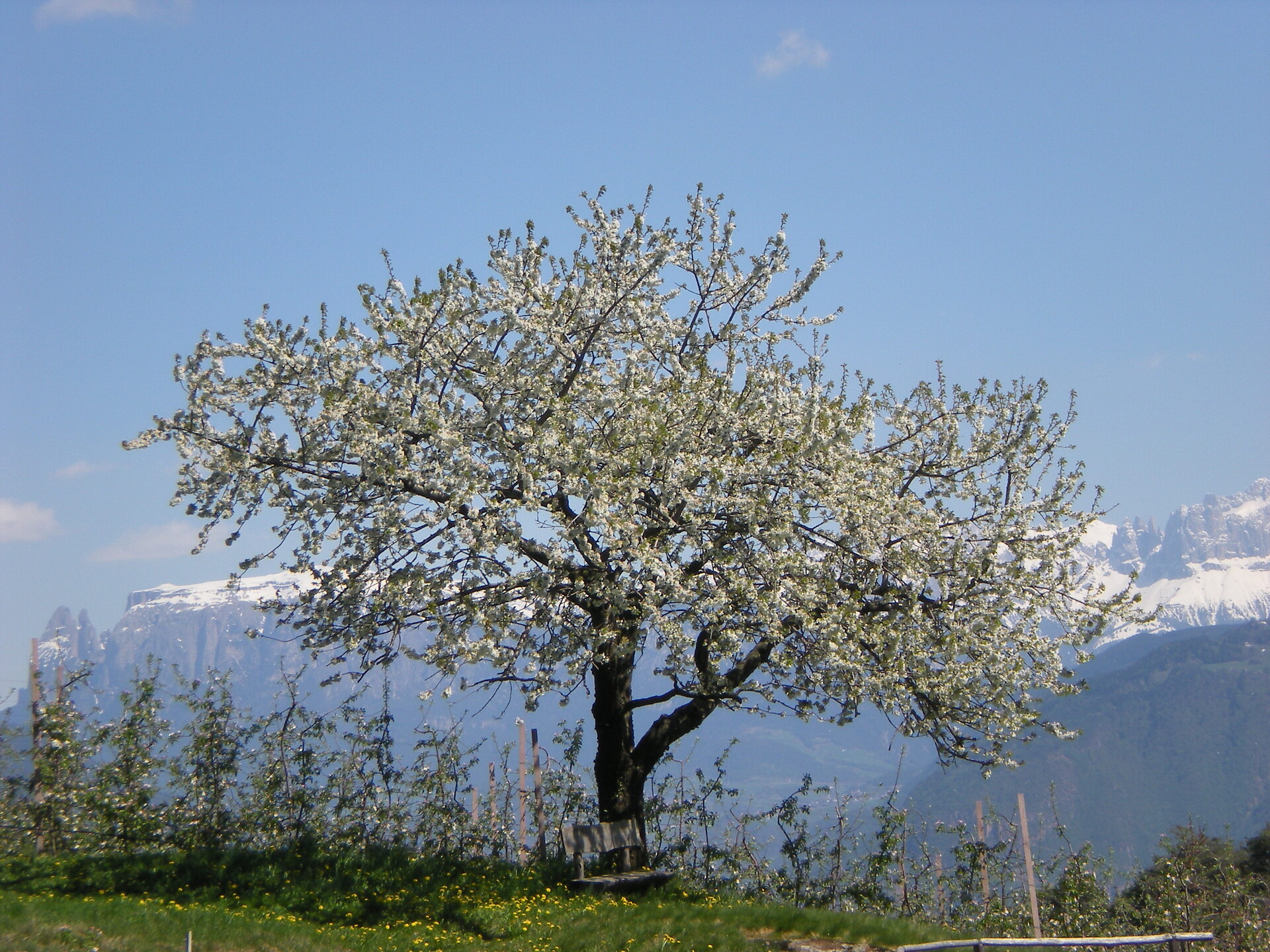 Regalterhof