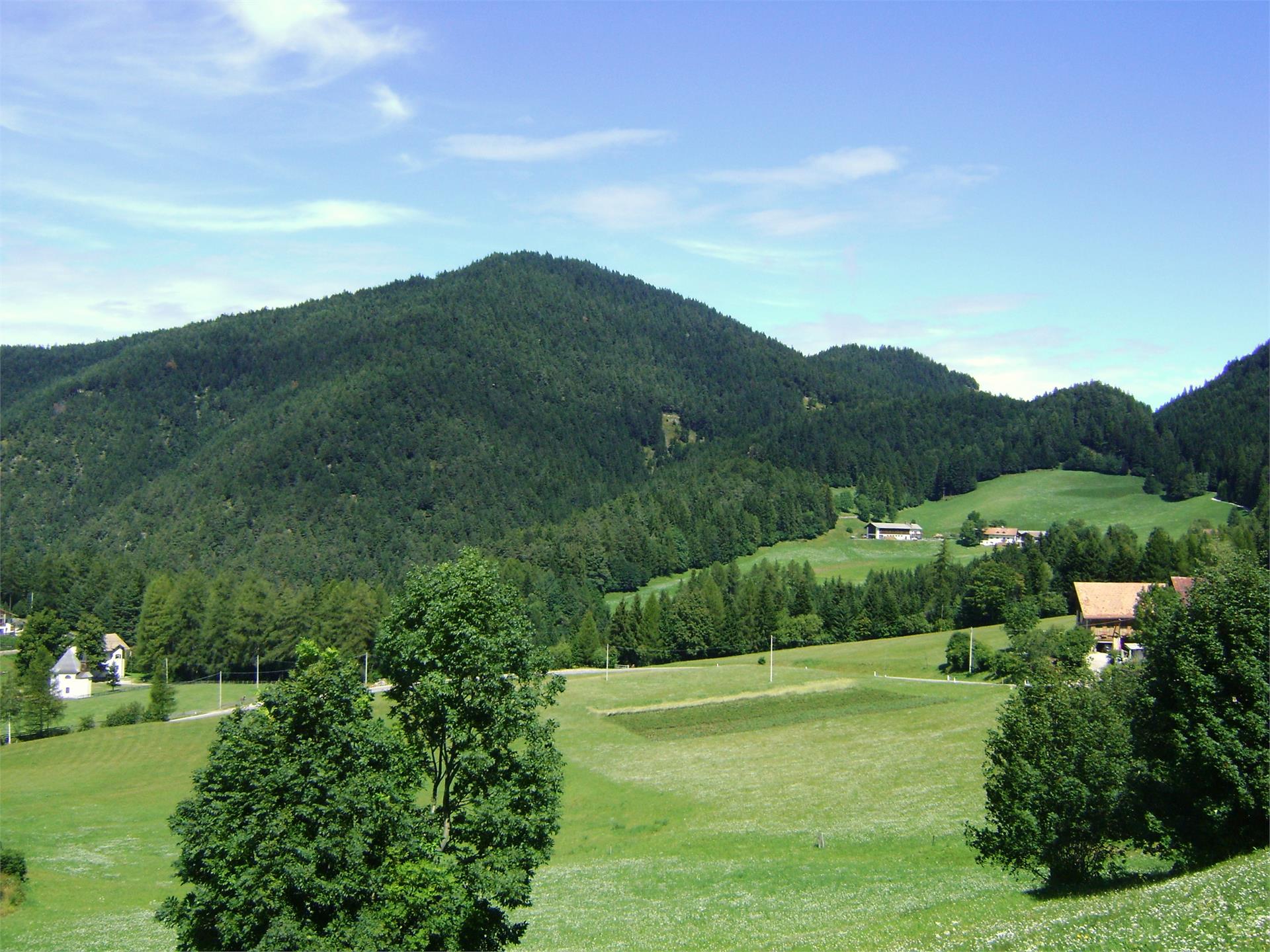 Röllhof Salurn 13 suedtirol.info