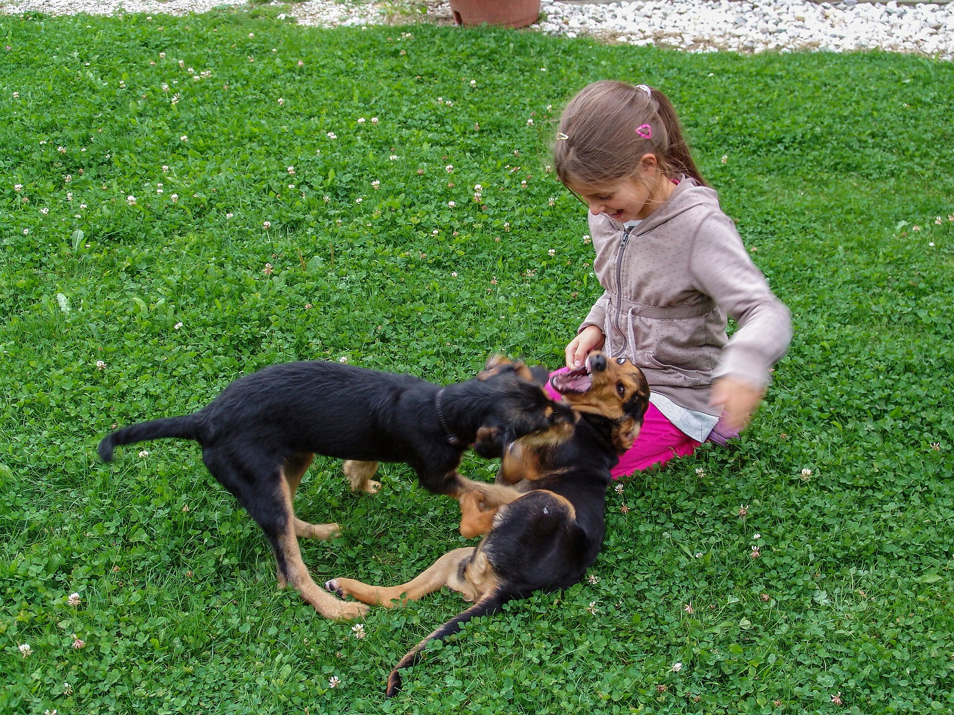 Roderhof playground