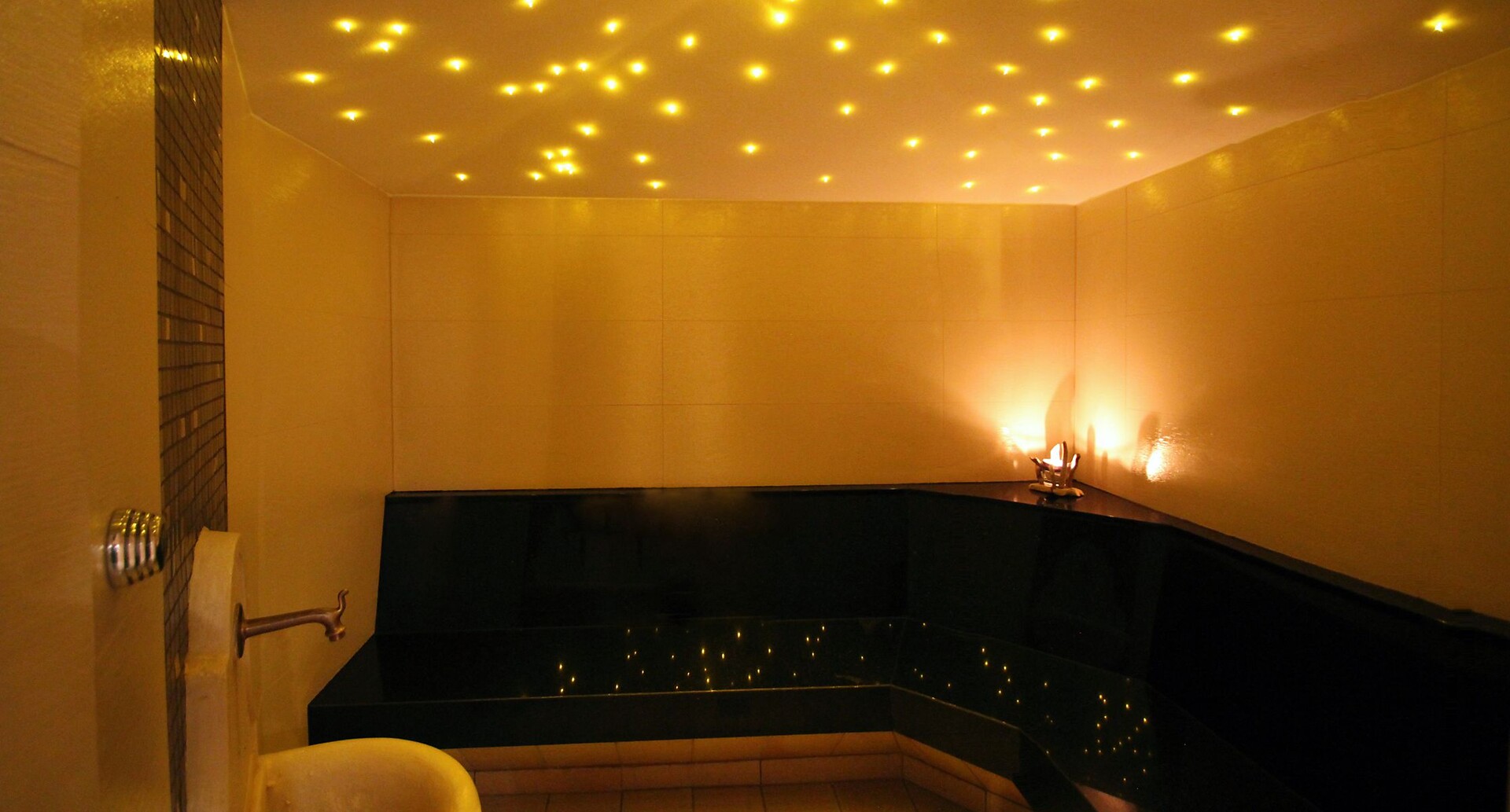 Wellness