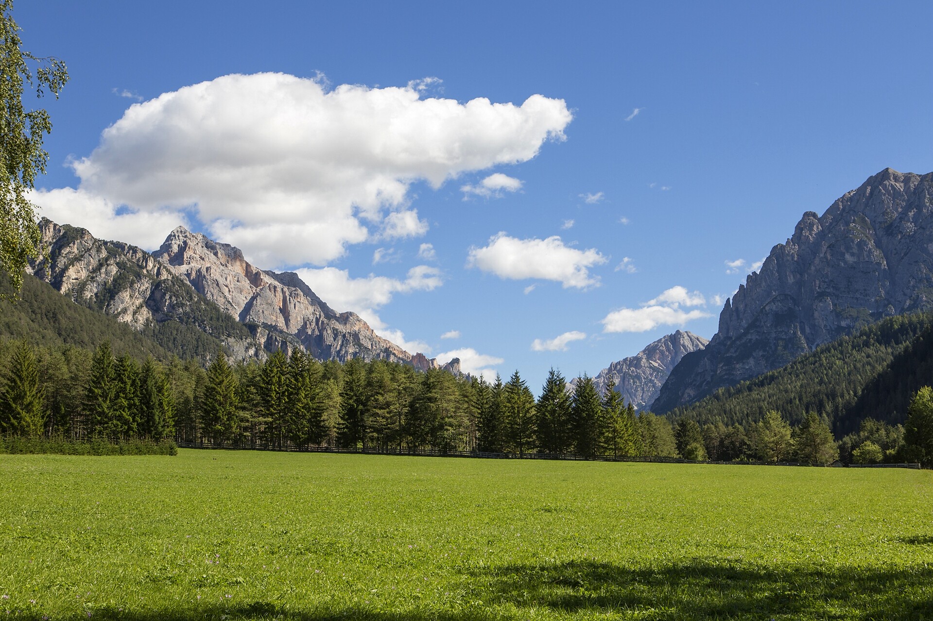 Vista
