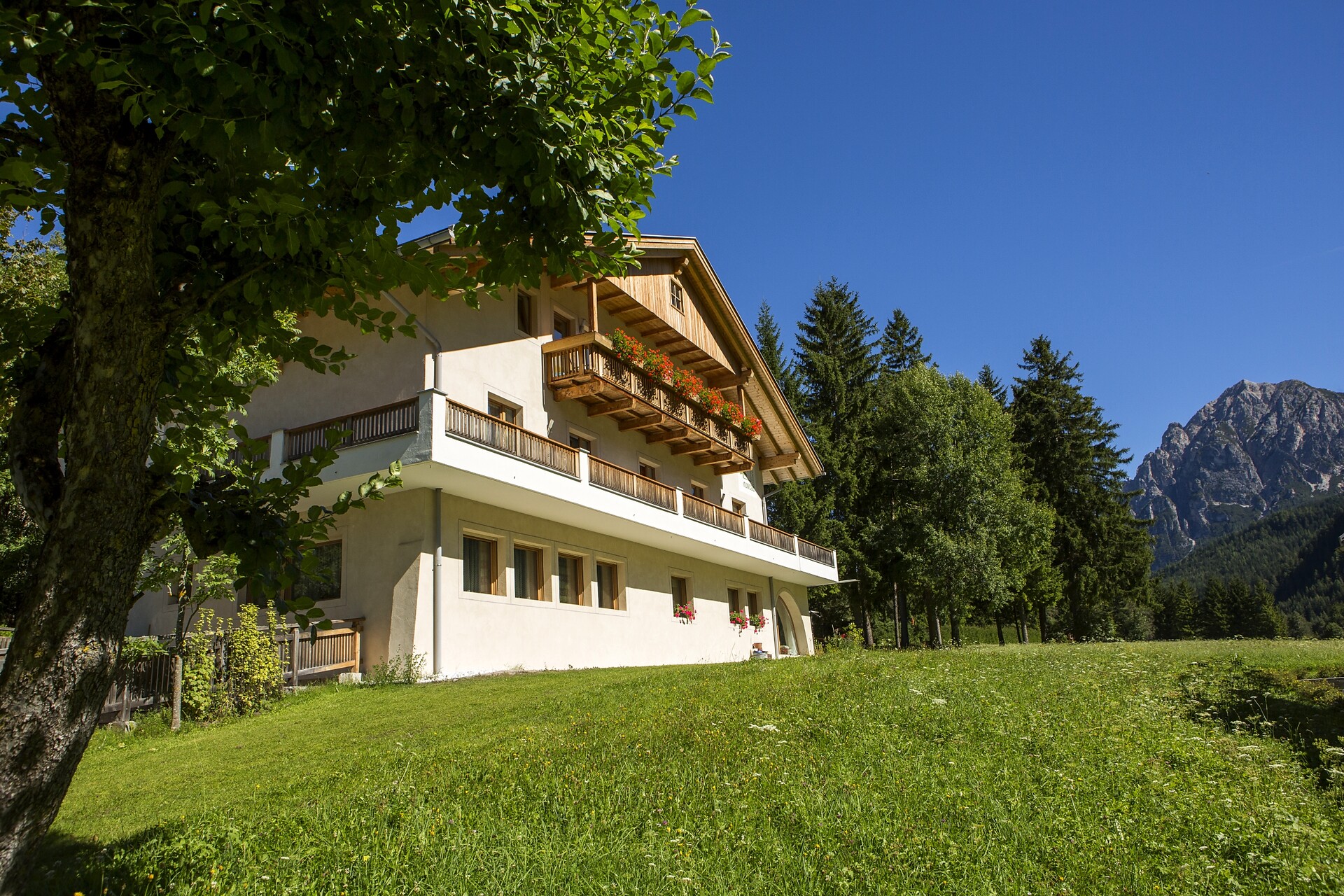 Dintorni Estate1