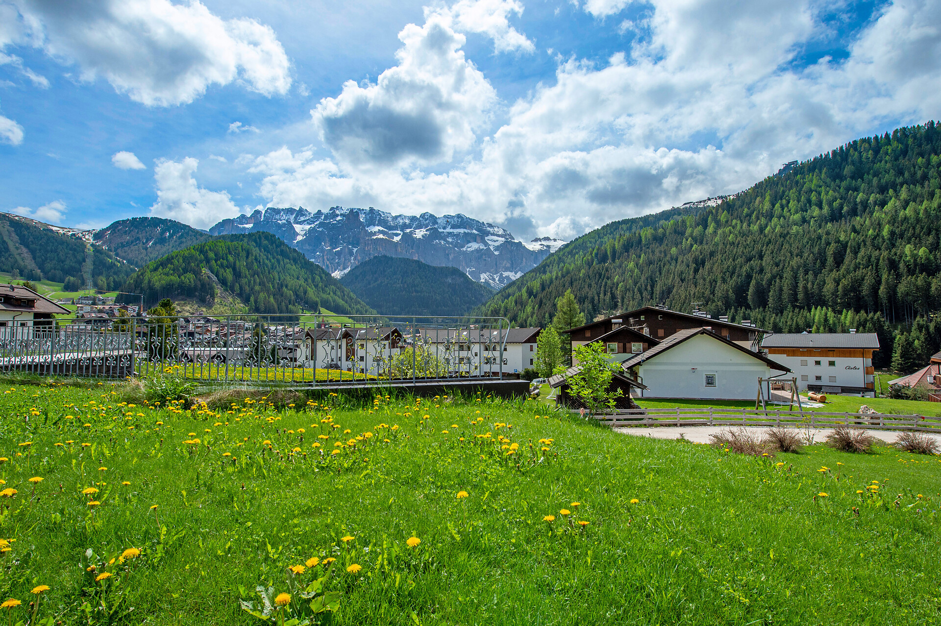 Garden Alpsonn
