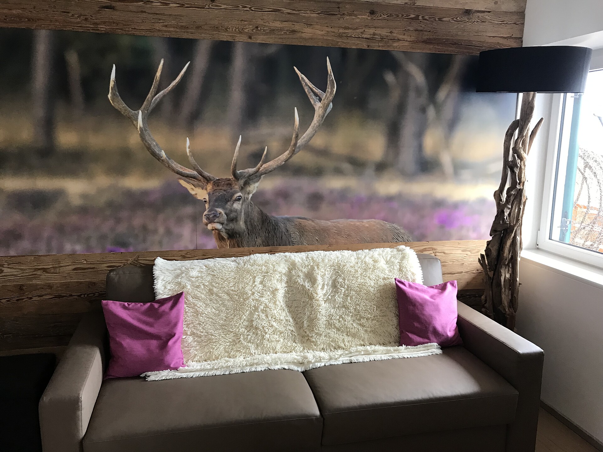 Living room WOOD
