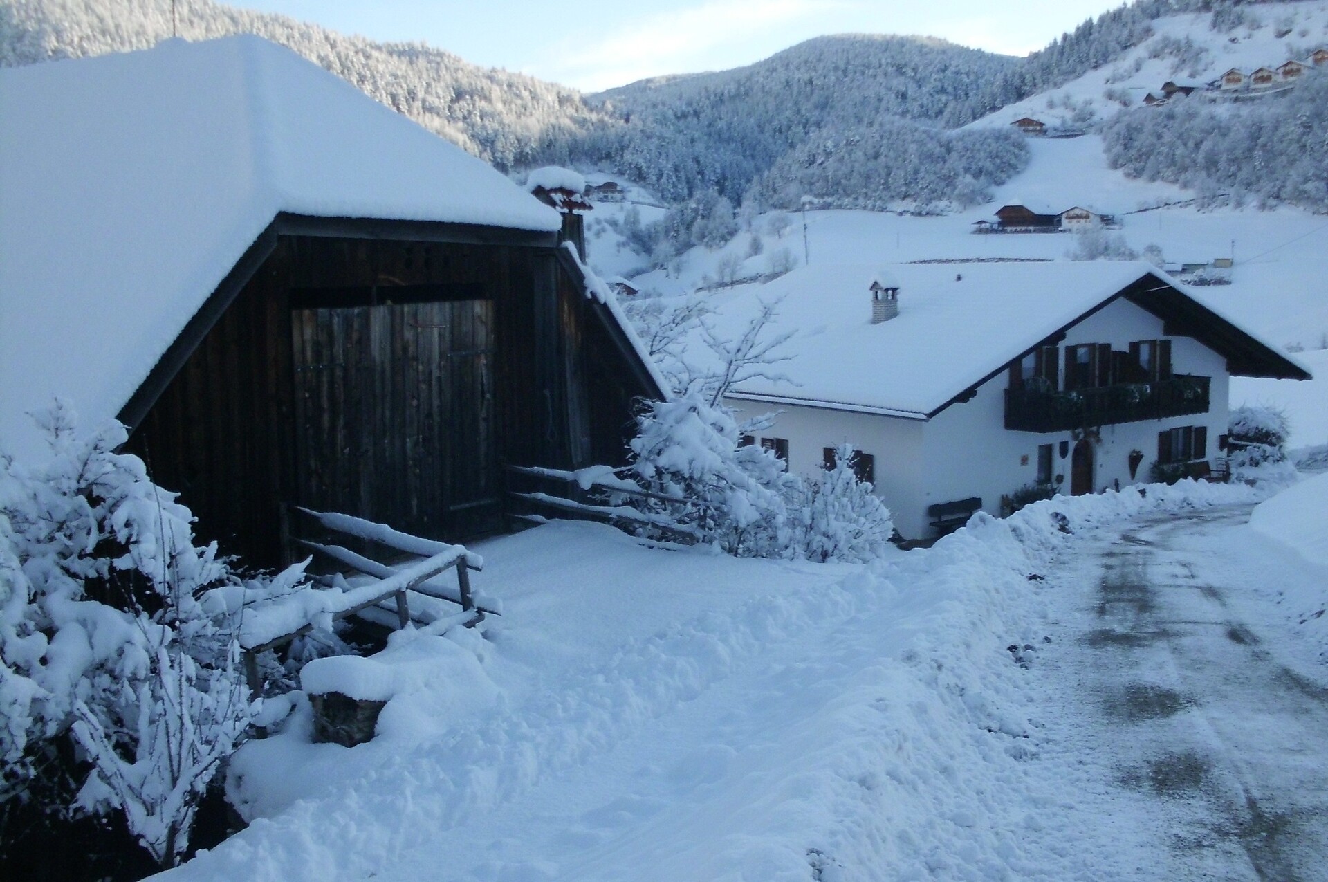 Inverno