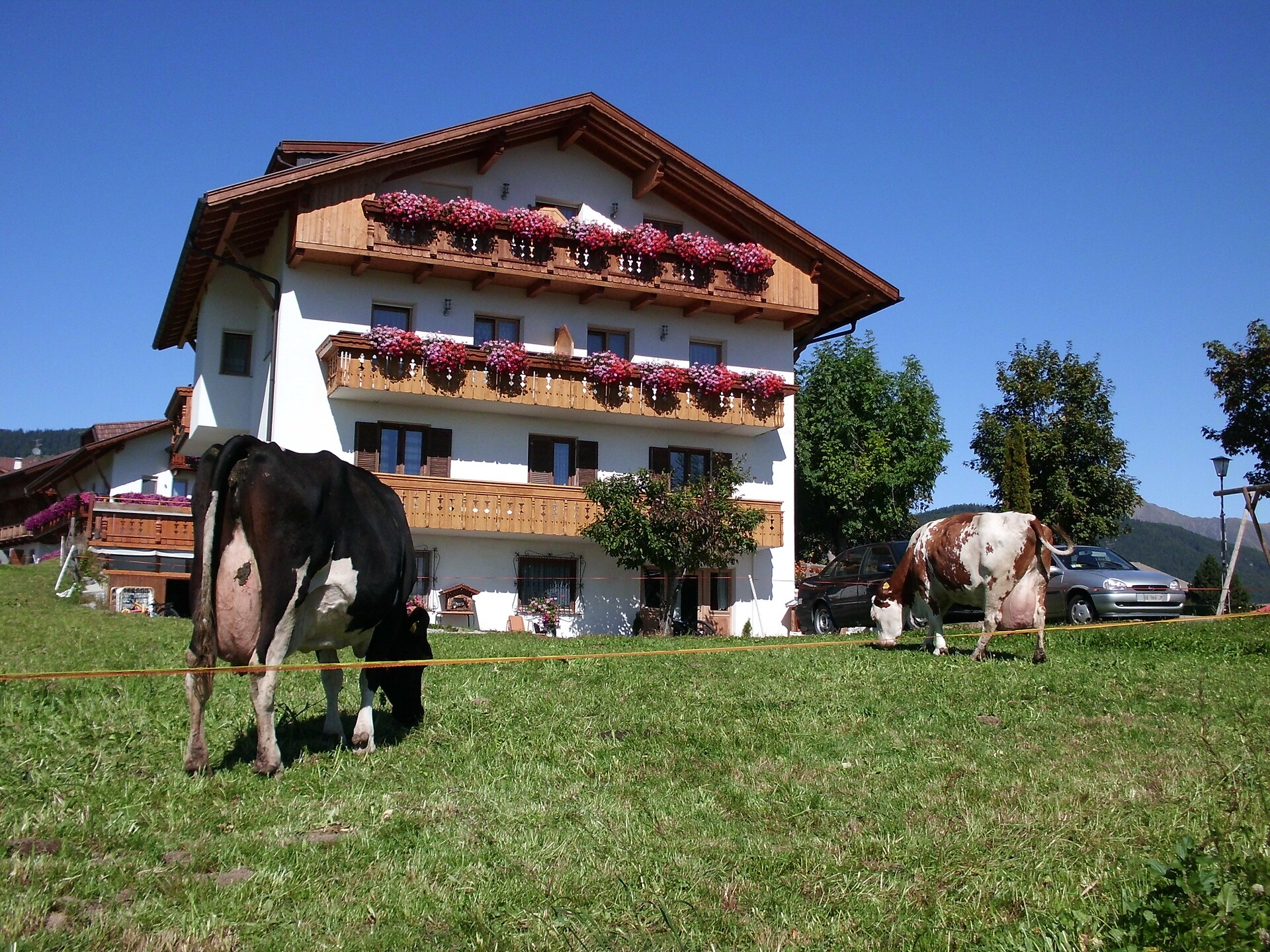 Rosenheim