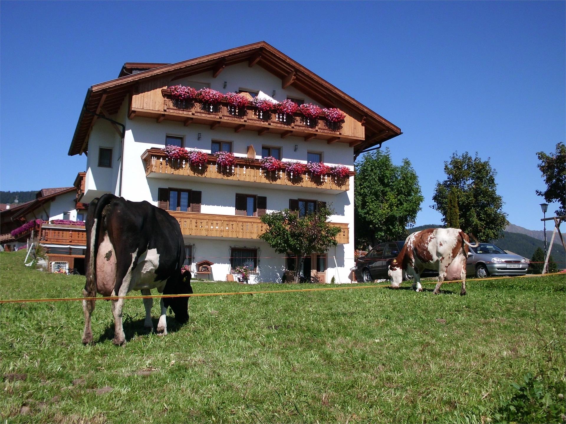 Rosenheim Rio di Pusteria 3 suedtirol.info