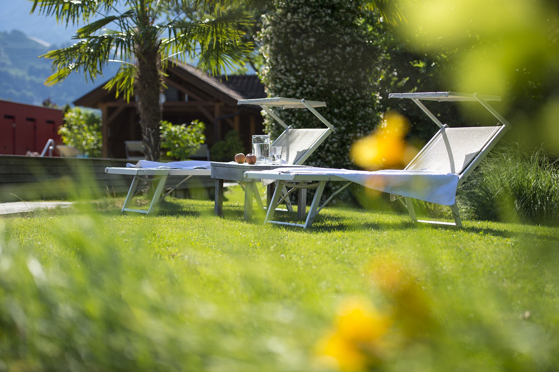 Weinsepphof garden area