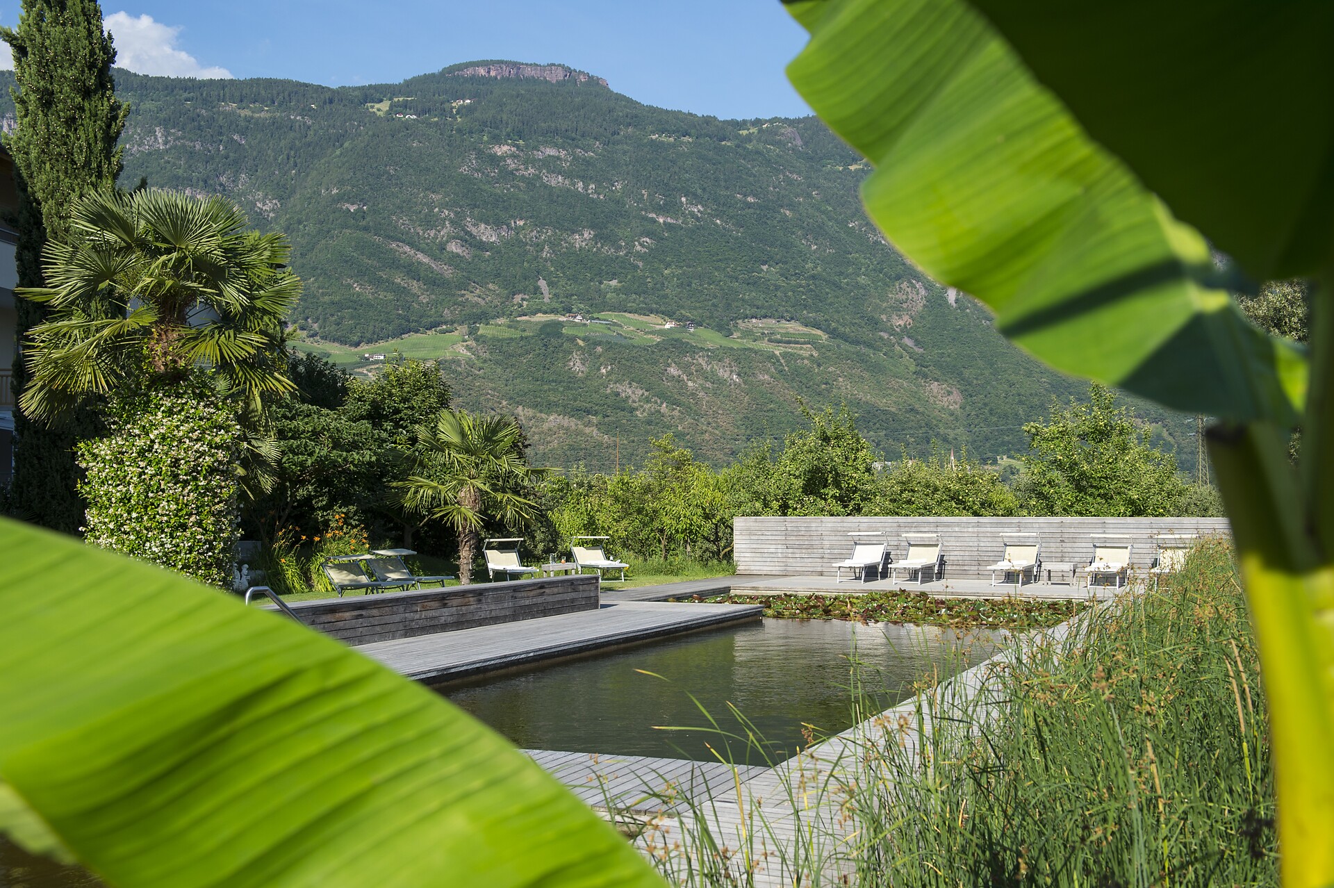 Weinsepphof natural swimming pool