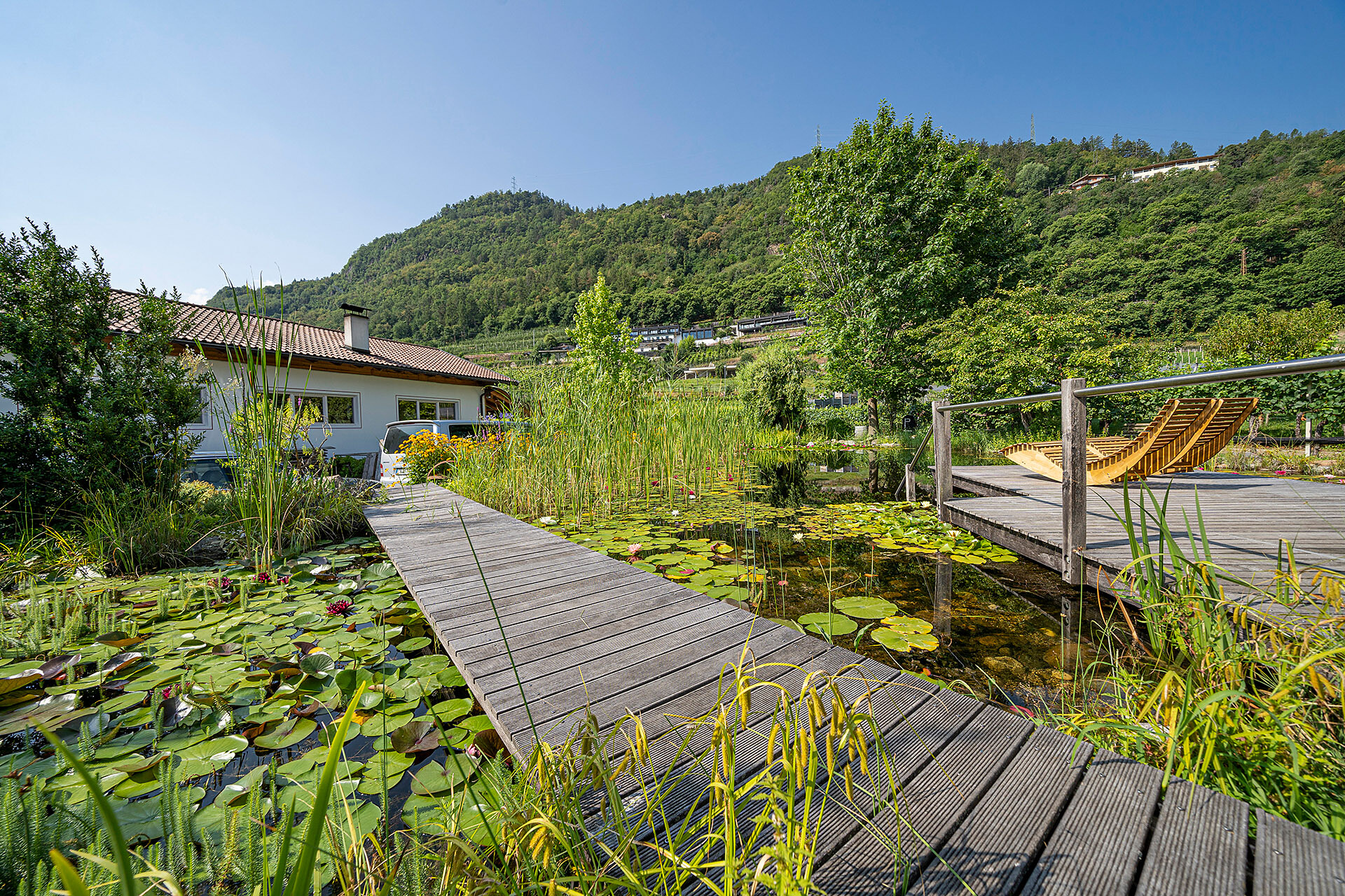 Pond system