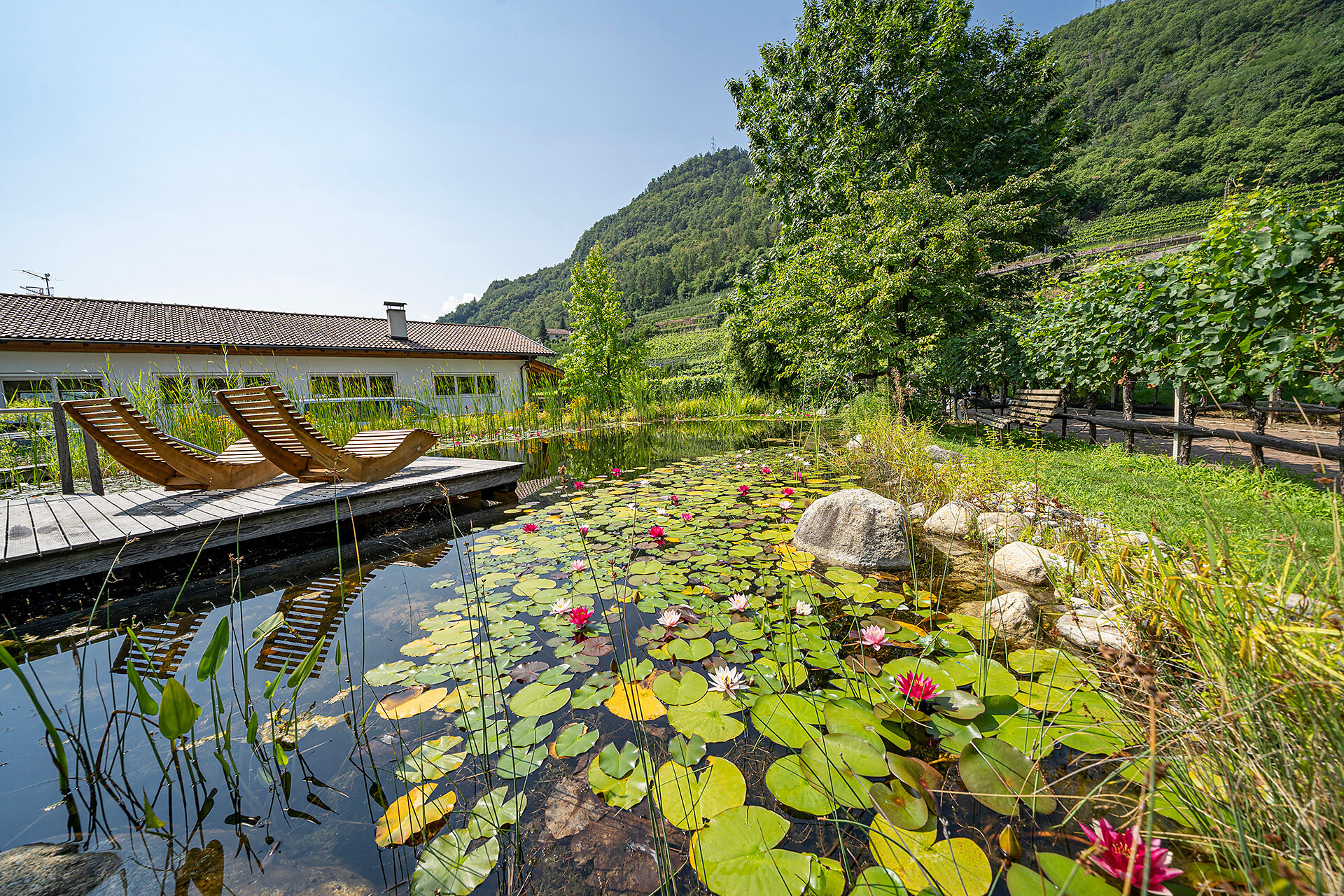 Pond system