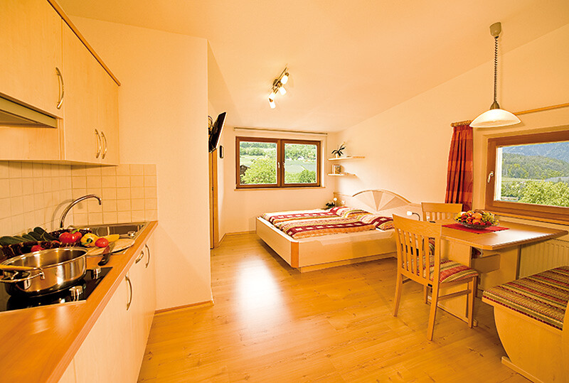 Hoferhof apartment