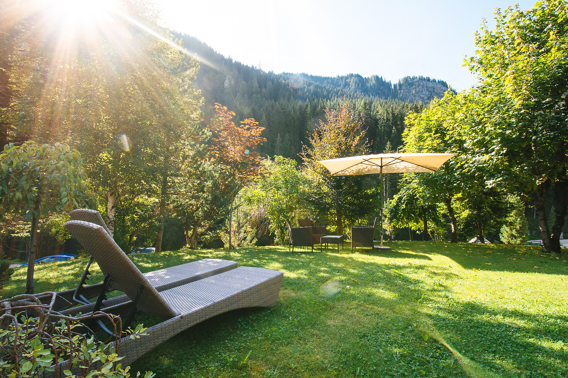 Residence Chalet Pinis
