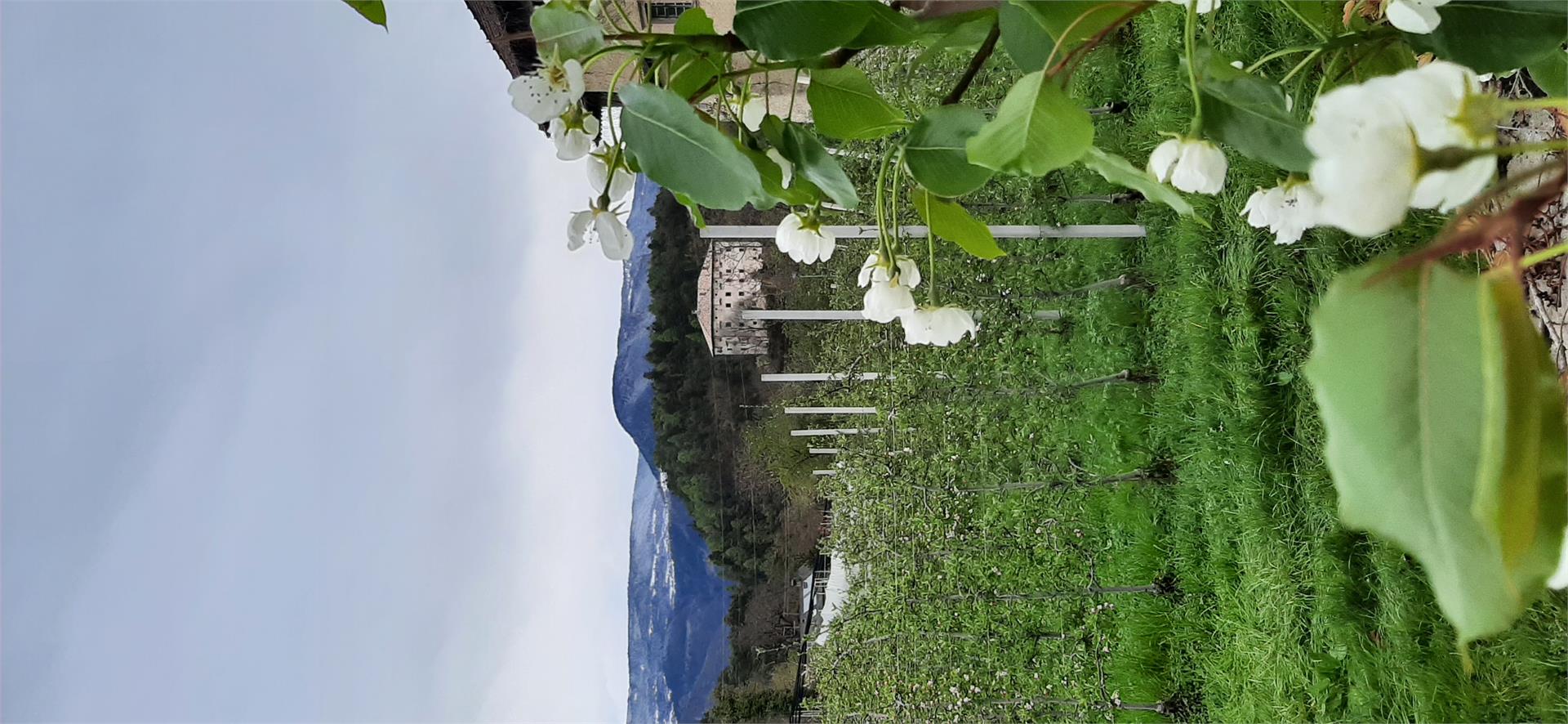 Residence Adler Tisens/Tesimo 5 suedtirol.info