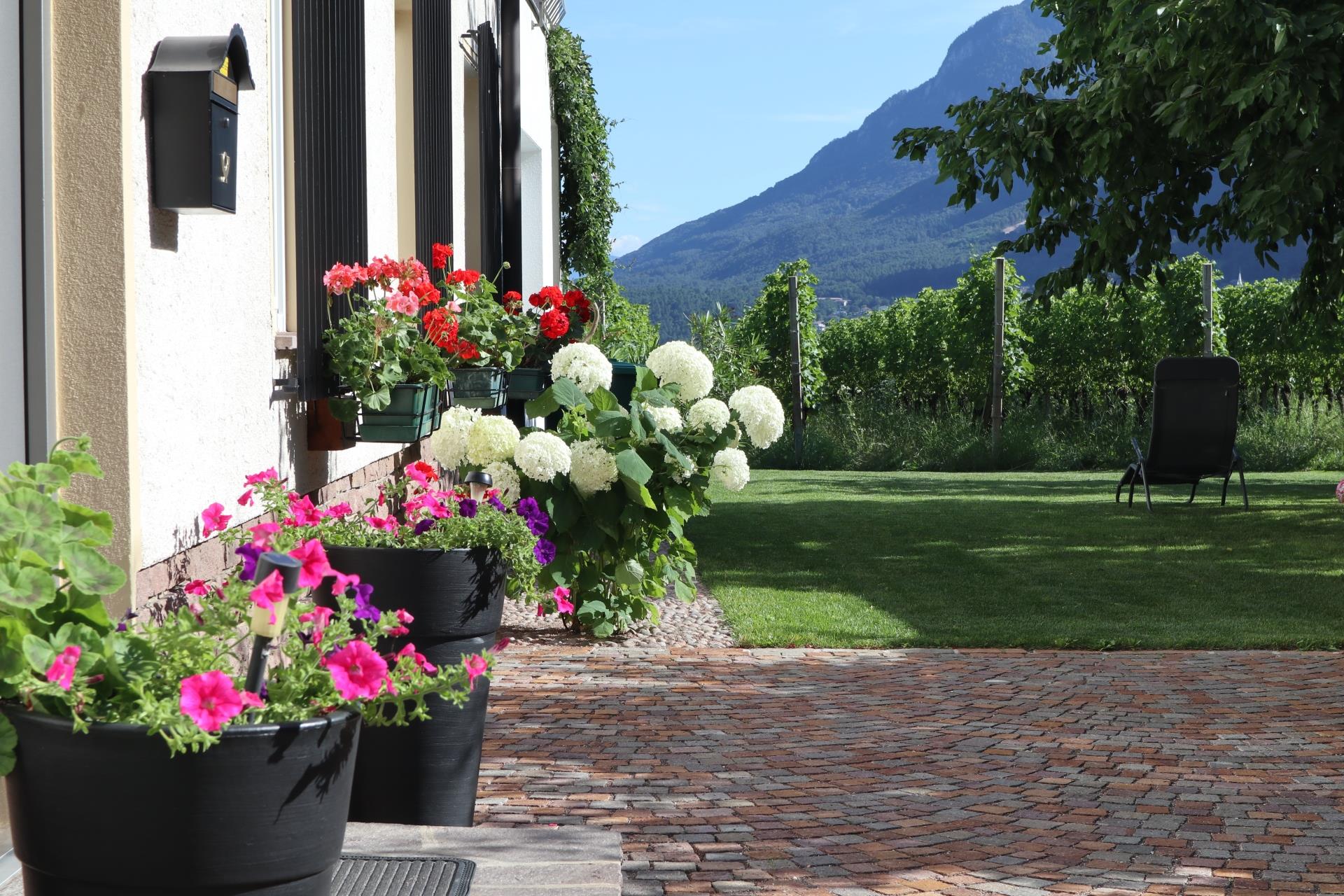 Rebhof Kaltern an der Weinstraße 5 suedtirol.info