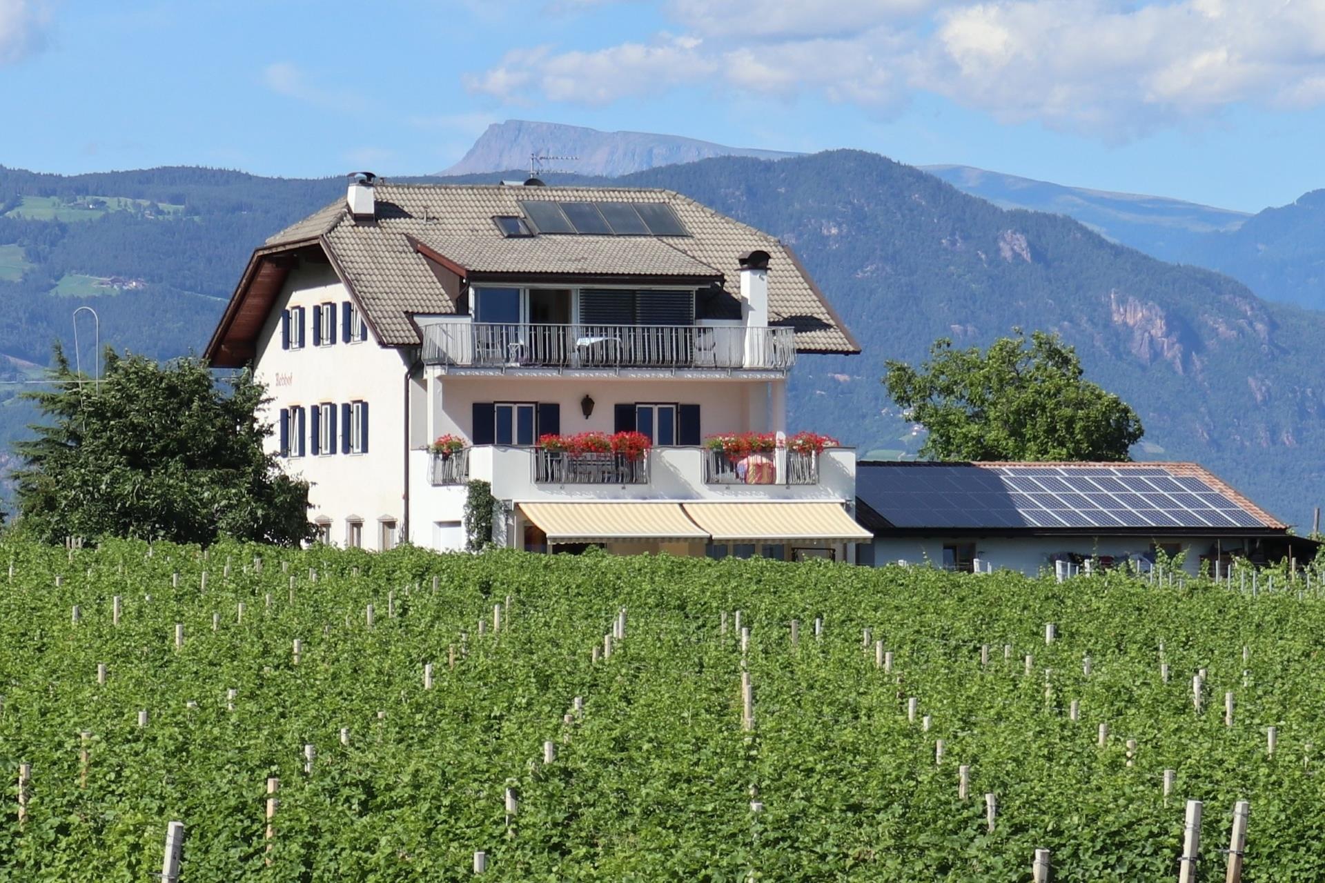 Rebhof Kaltern an der Weinstraße 1 suedtirol.info