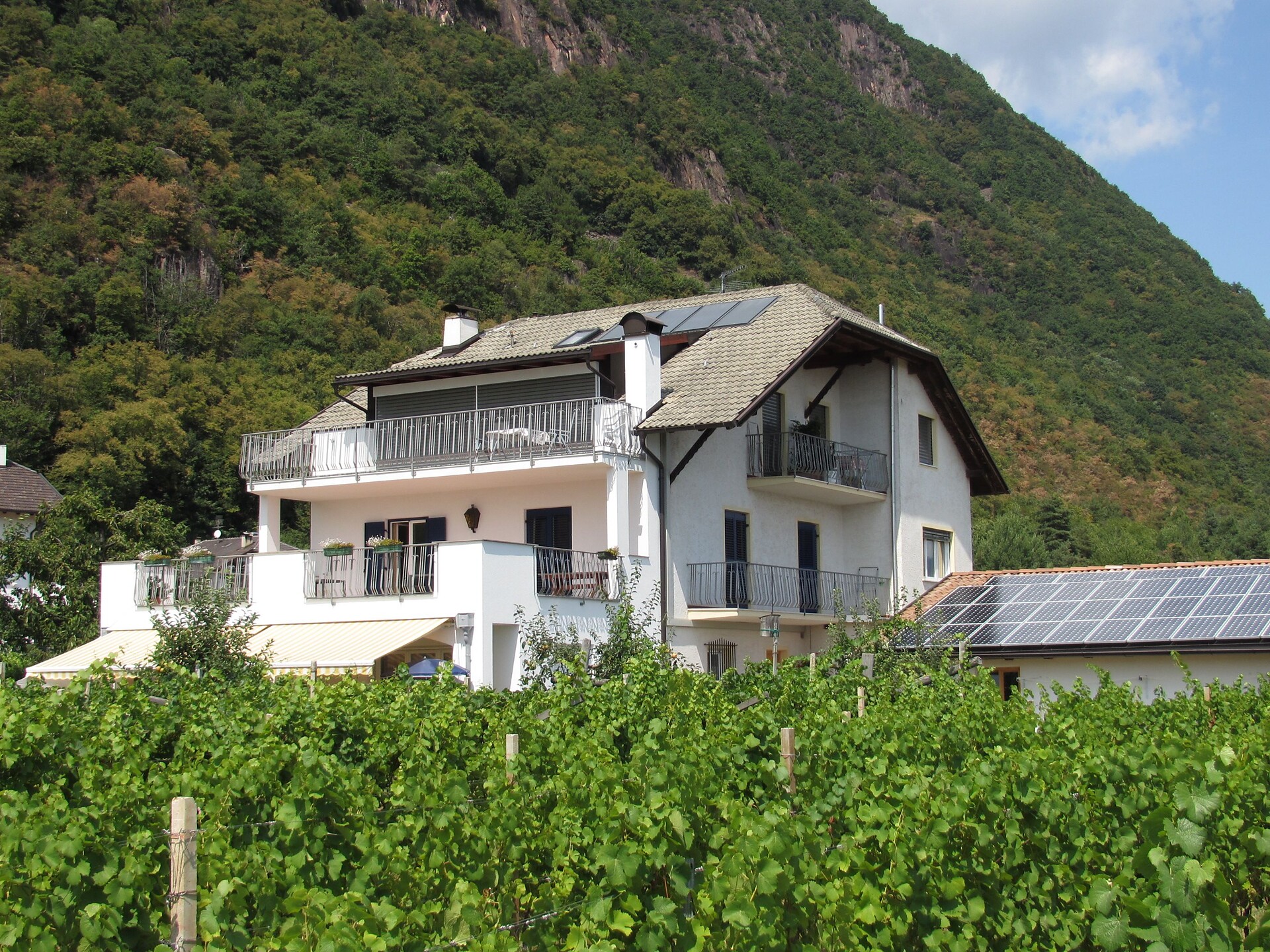 Rebhof Kaltern an der Weinstraße 3 suedtirol.info