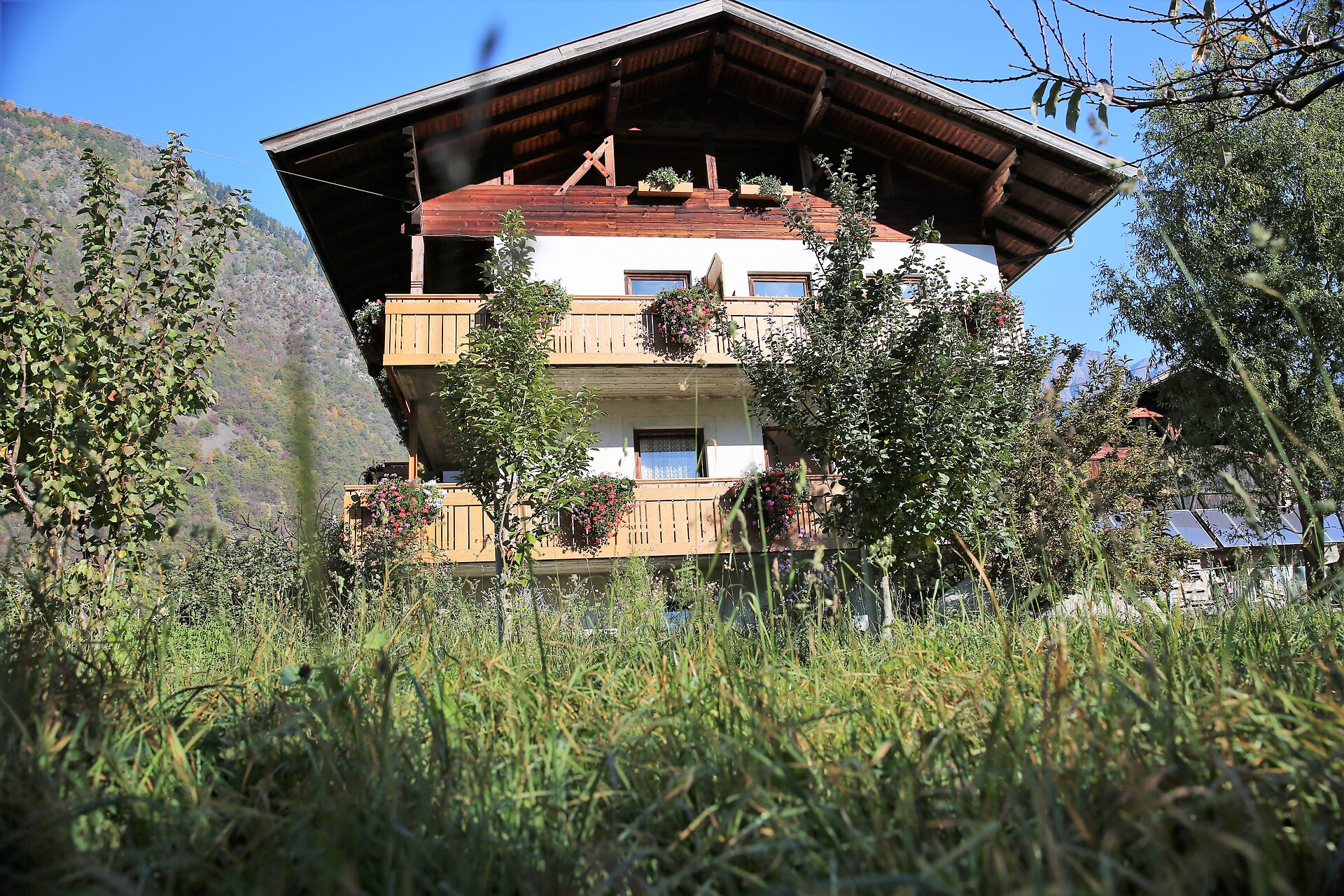Linterhof
