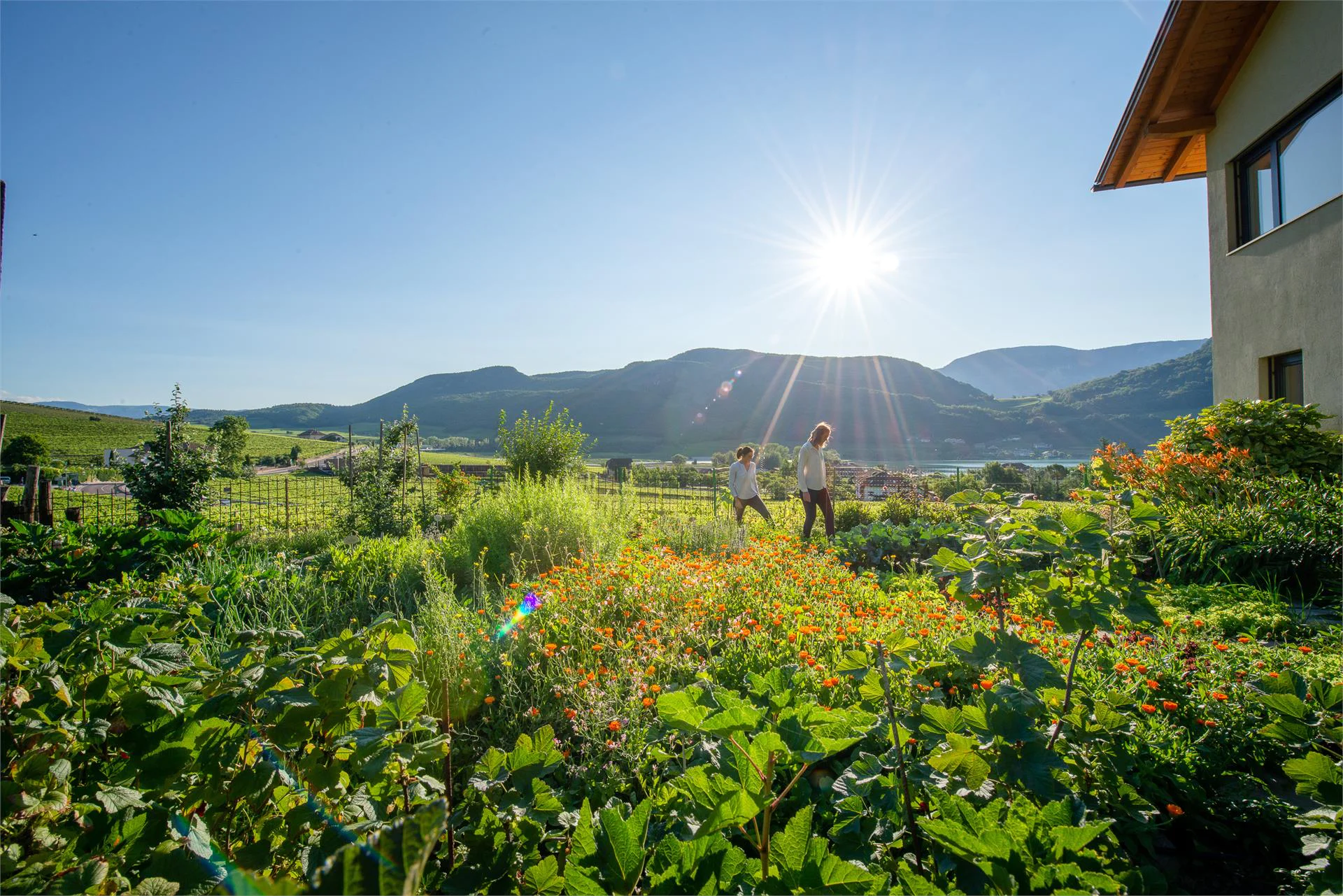 Rösslhof Caldaro sulla Strada del Vino 8 suedtirol.info