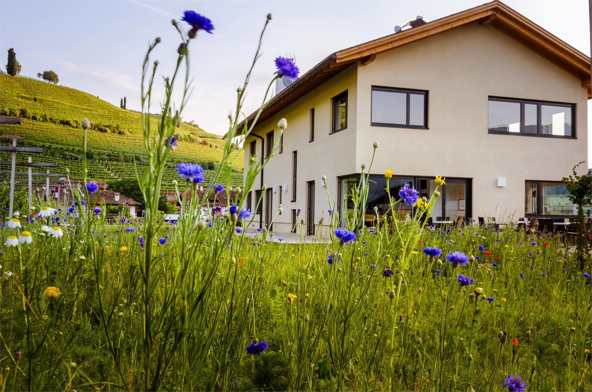 Rösslhof Caldaro sulla Strada del Vino 2 suedtirol.info