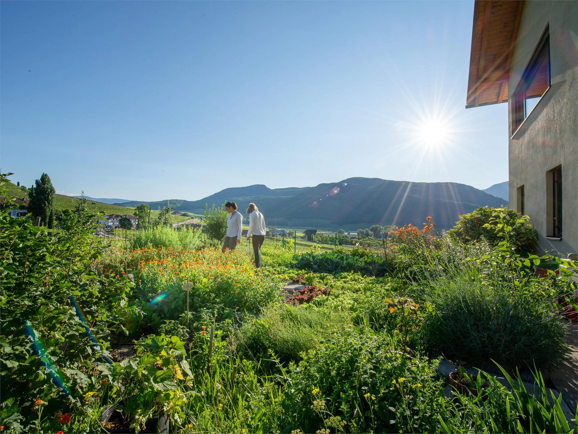 Rösslhof Caldaro sulla Strada del Vino 1 suedtirol.info