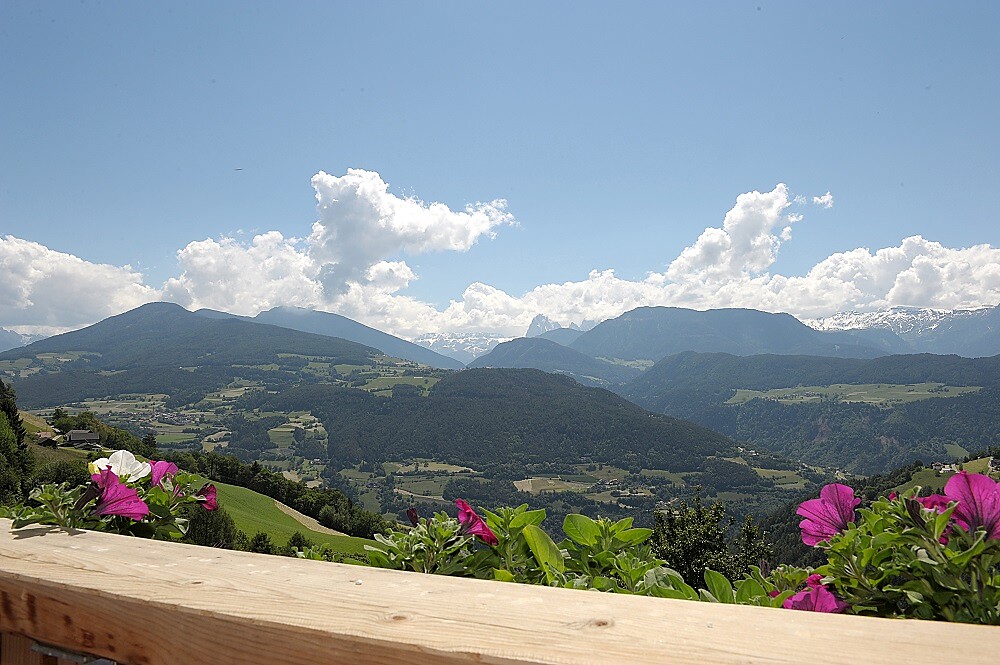 Vista panoramica