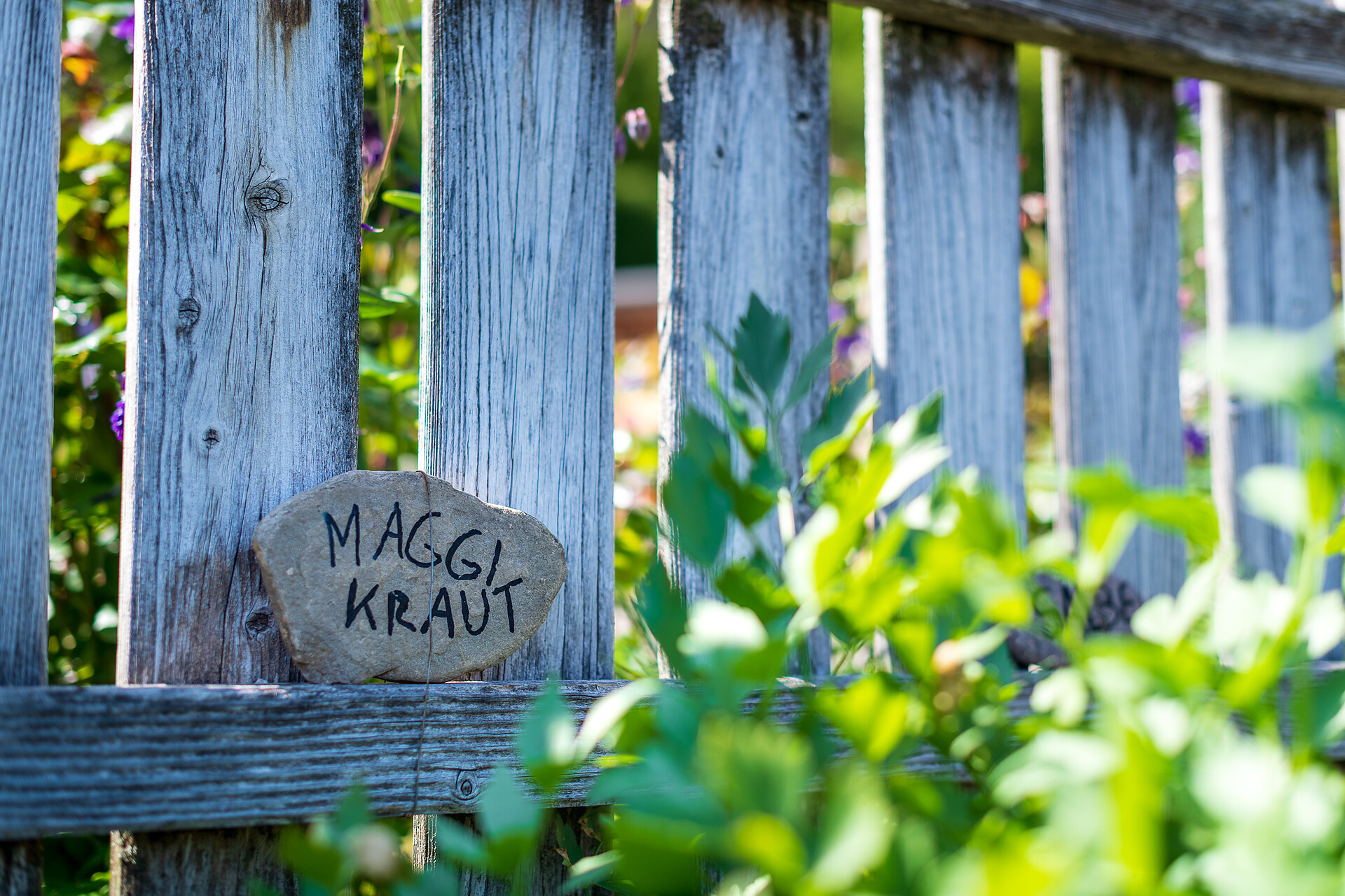 garden