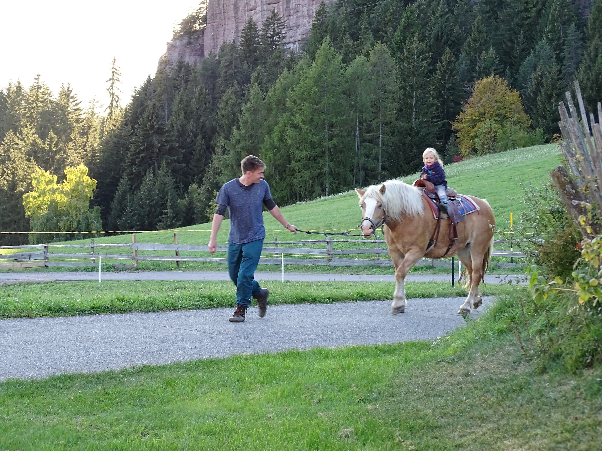 Cavalli Haflinger al maso Rotsteinhof a Verano, Alto Adige