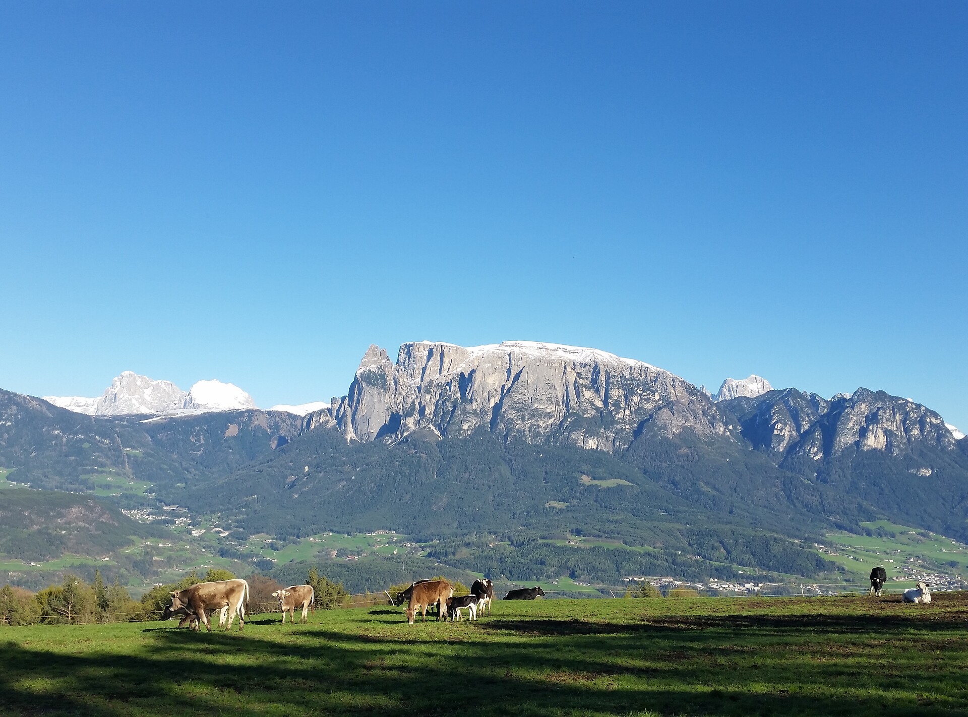 Ritzfeldhof Urlaub am Bauernhof Dolomiten
