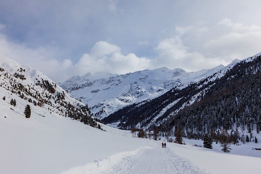 paesaggio invernale