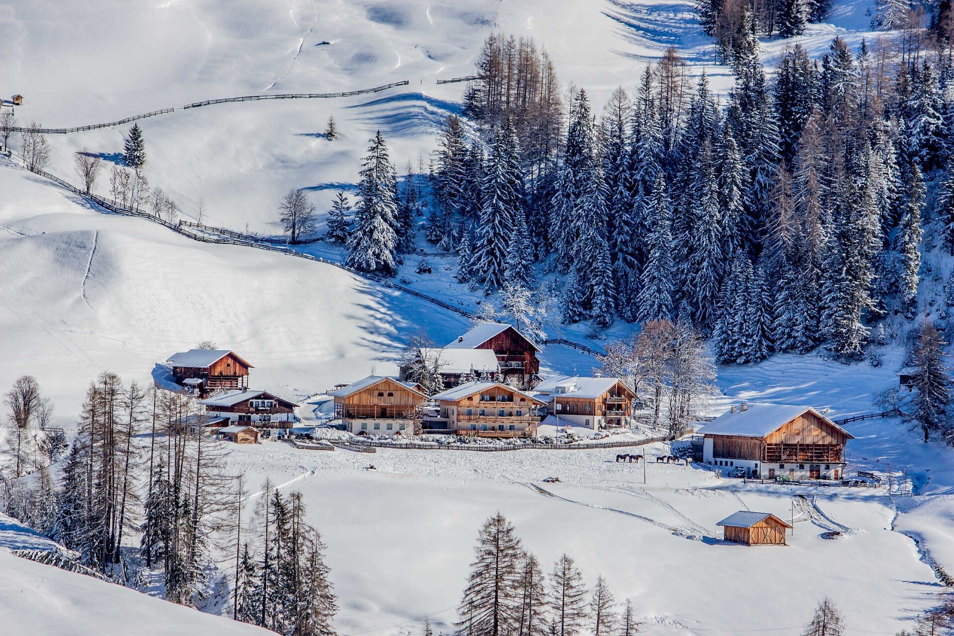 Residence Rosarela - Regione dolomitica Alta Badia - #23 - suedtirol.info