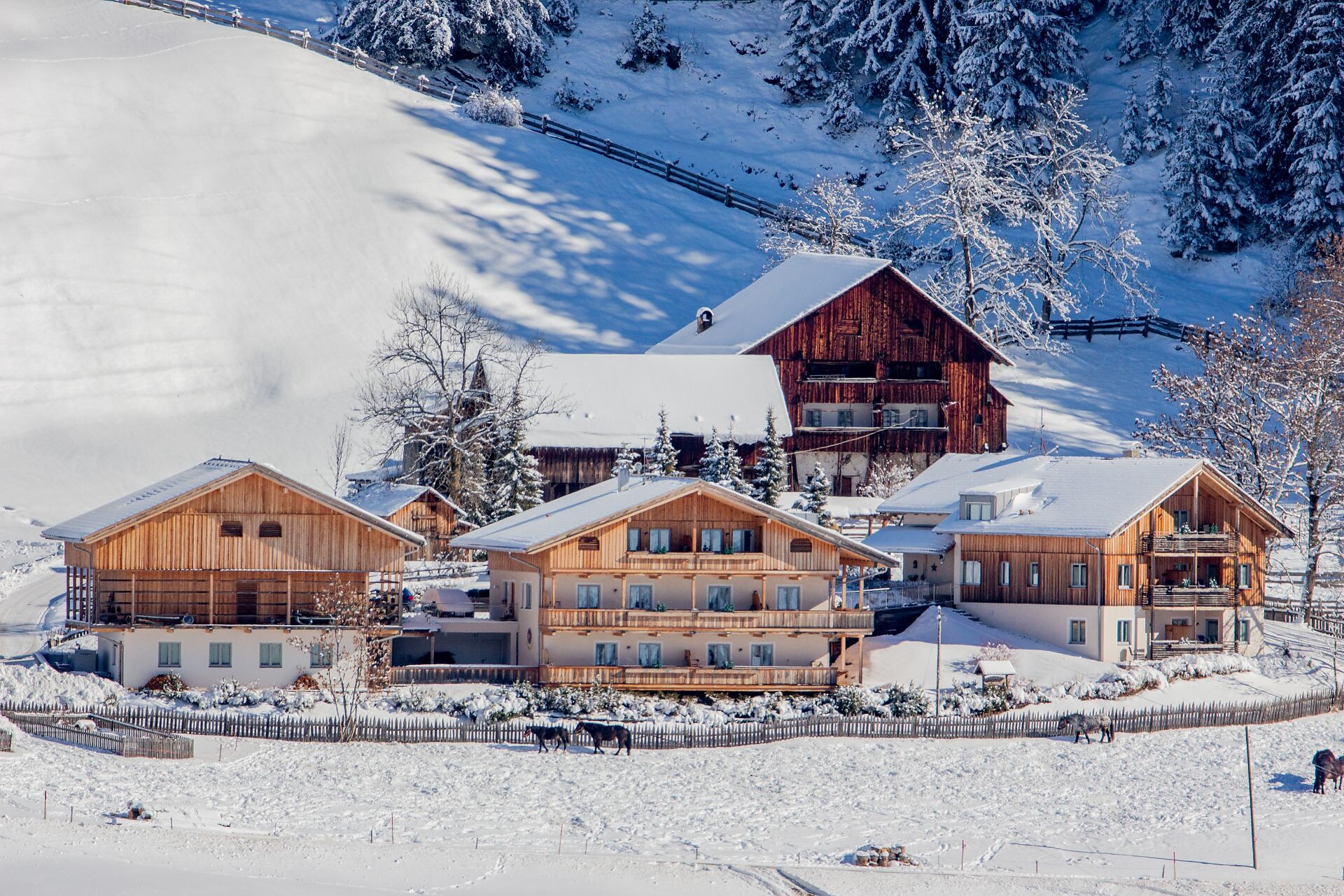 Residence Rosarela - Regione dolomitica Alta Badia - #14 - suedtirol.info