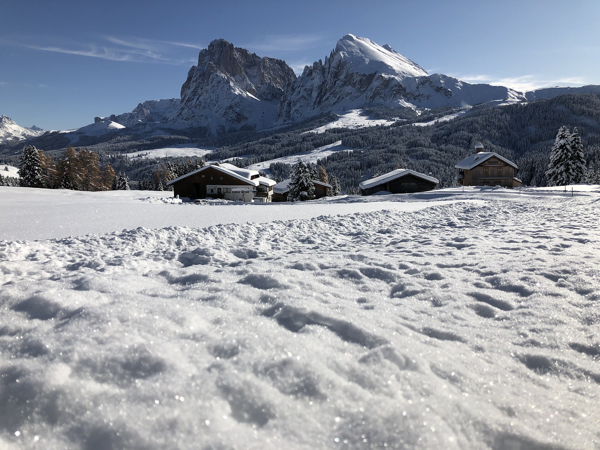 Winter