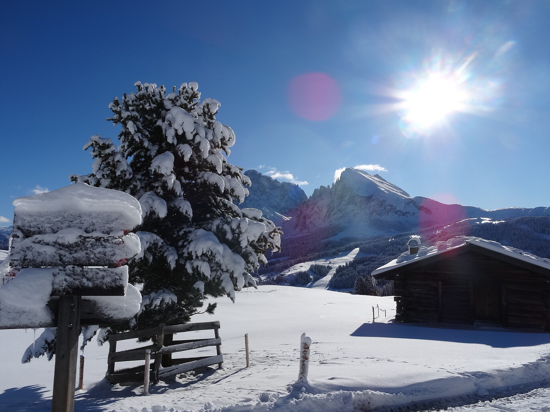 Winter