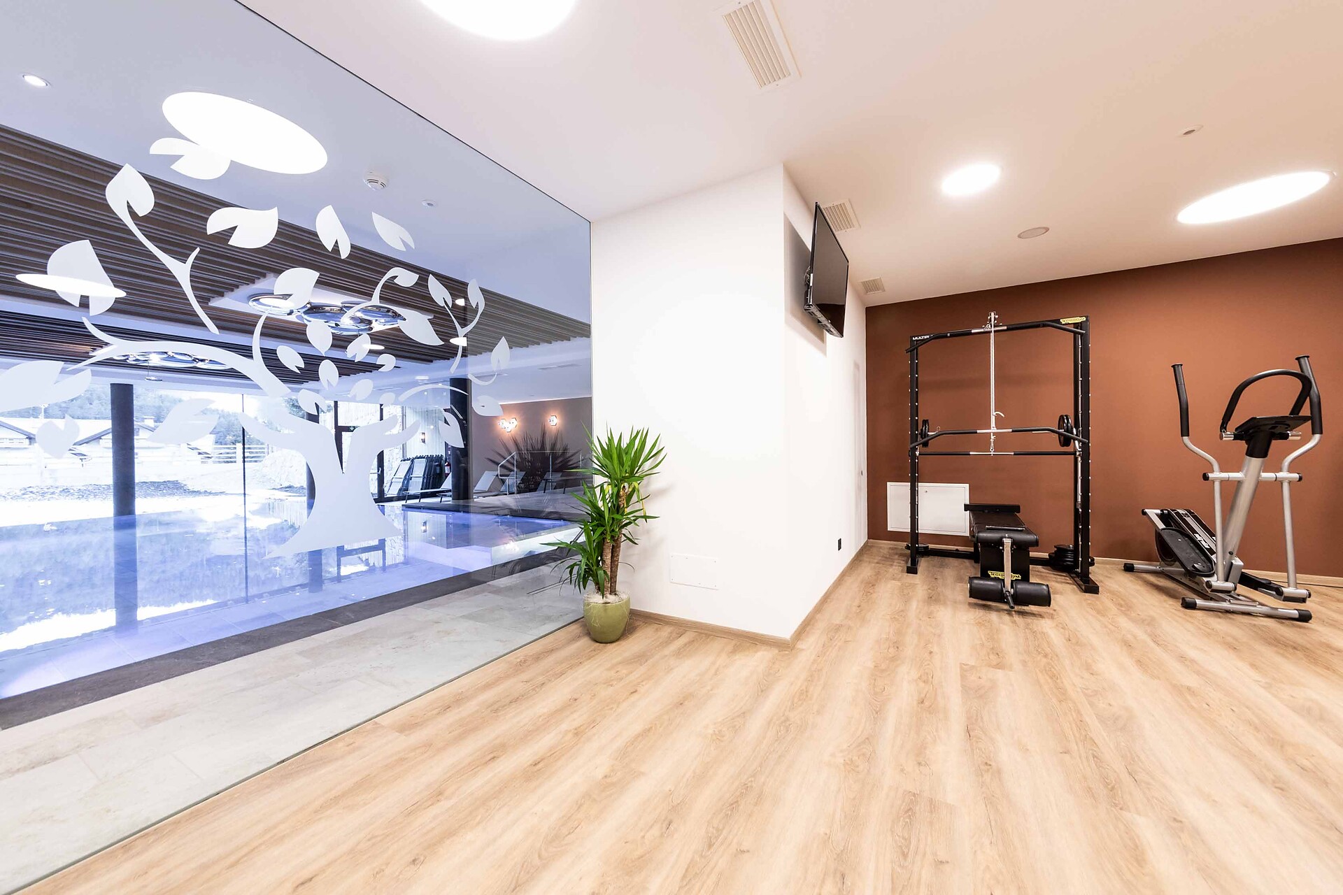Fitness