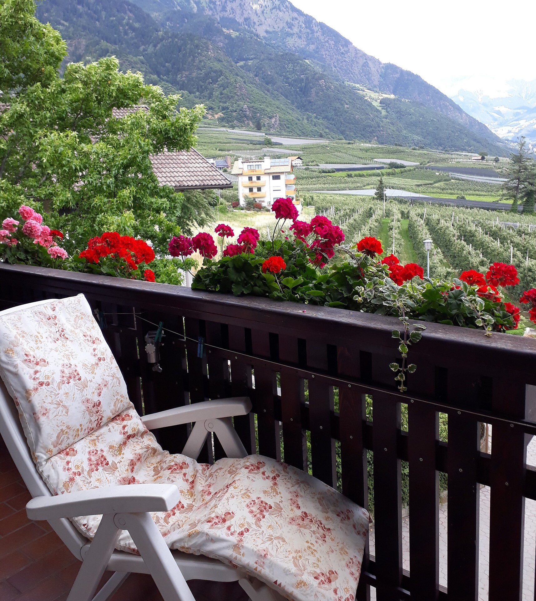 relax and enjoy