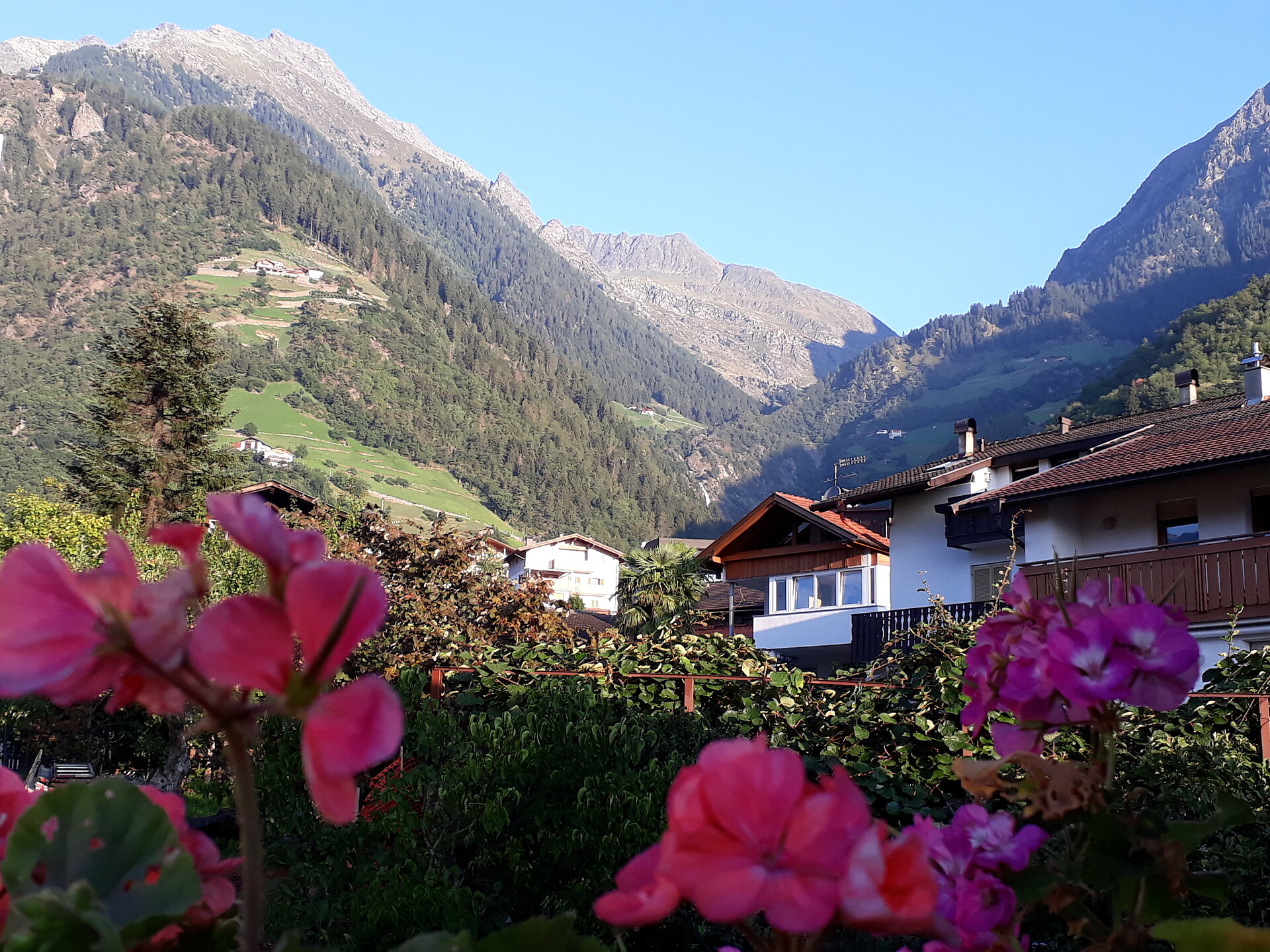 view from the kitchen balcony