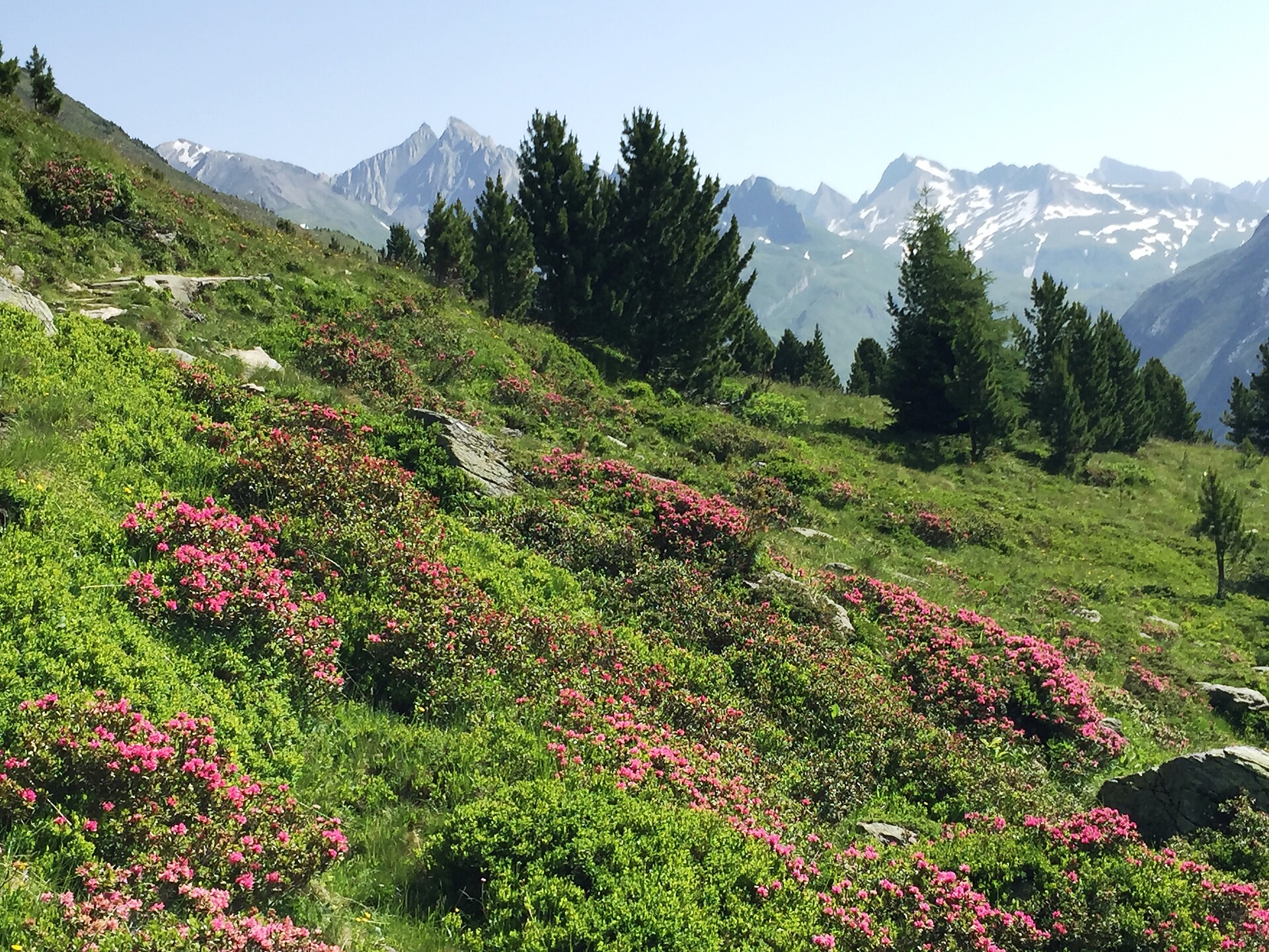 Urlaub in Rein in Tauerfers