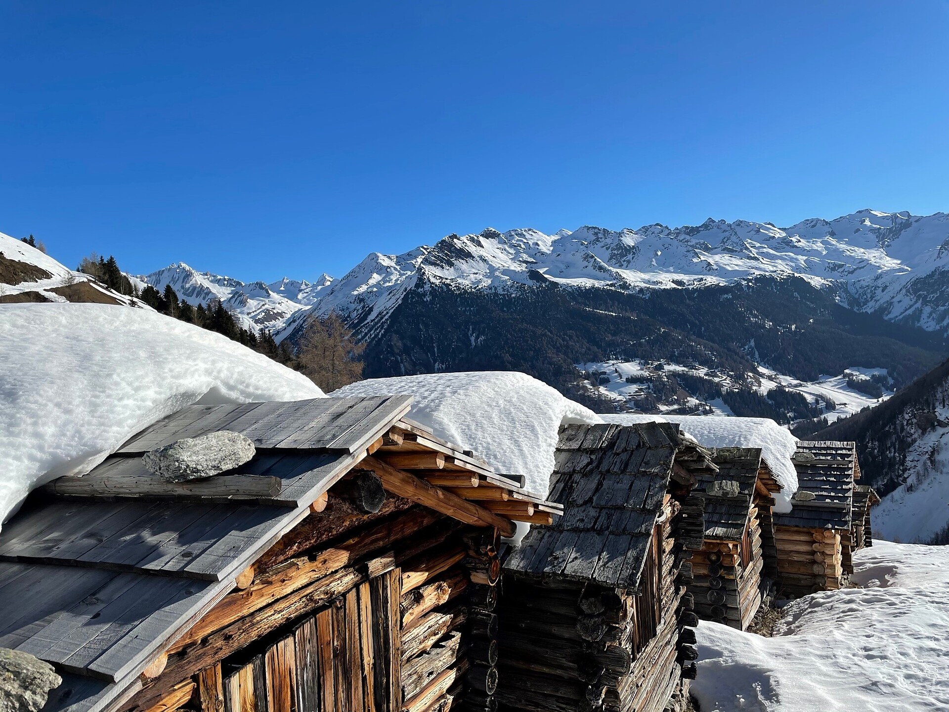 Lobisa Winter