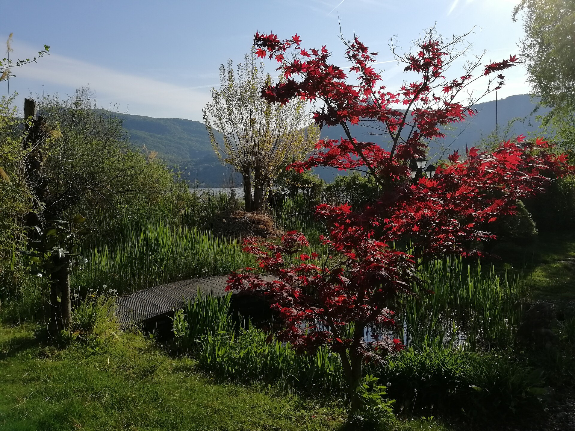 Residence Roland - Südtiroler Weinstraße - #15 - suedtirol.info