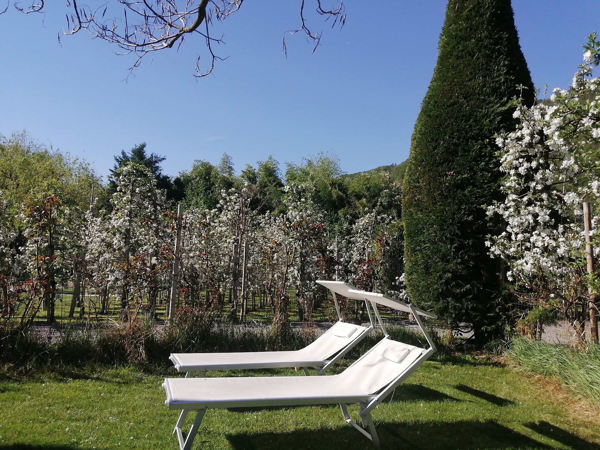 Residence Roland