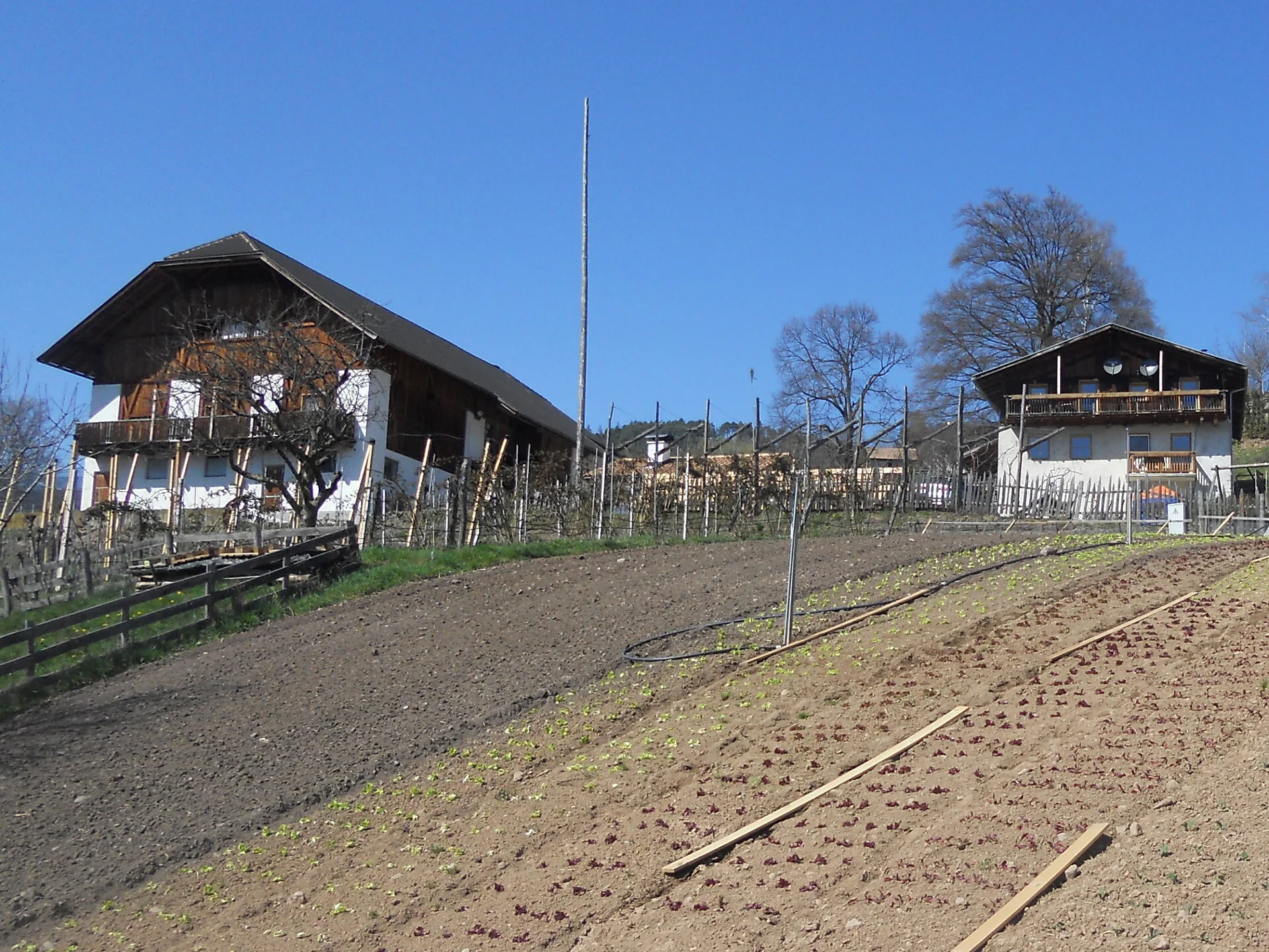 Roanerhof San Genesio Atesino 1 suedtirol.info