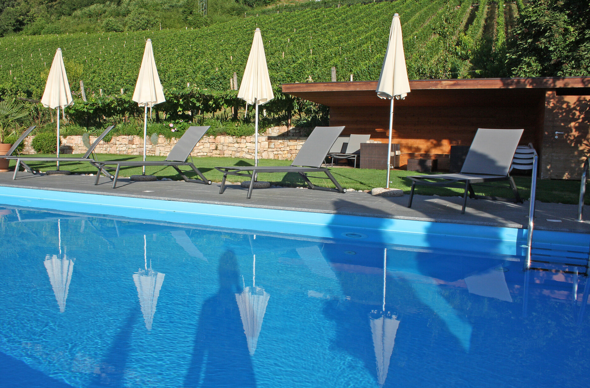 Pool Runggnerhof