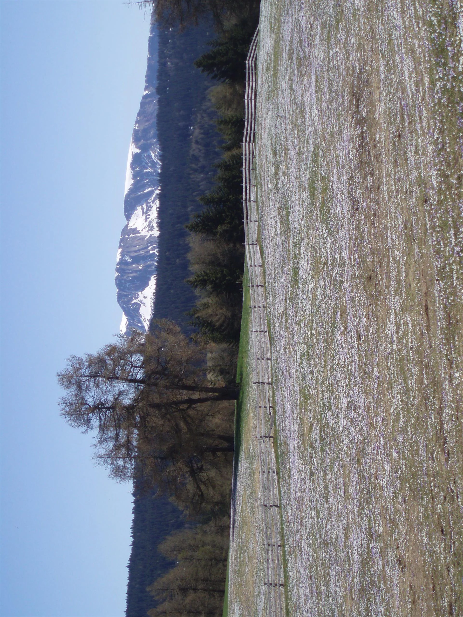 Rastlhof Mölten 12 suedtirol.info