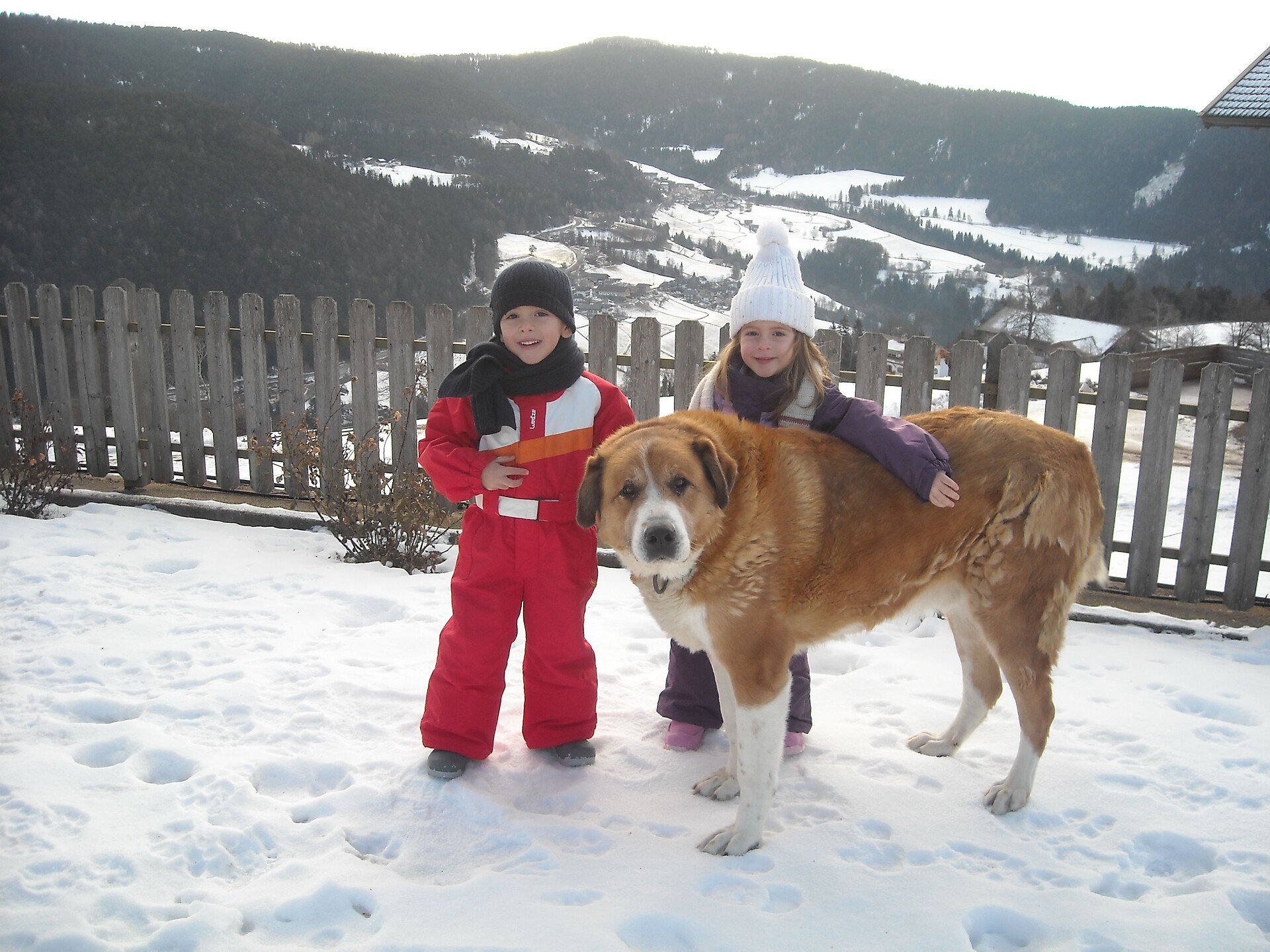Kinder mit Rex