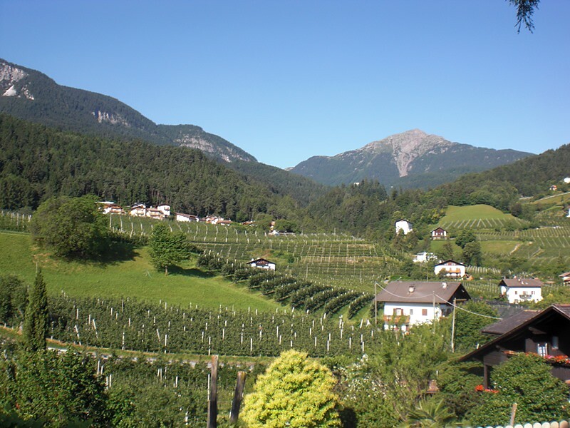 Blick vom Balkon