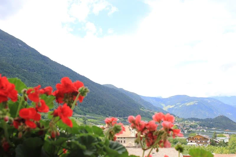 Residence Rebgut Tesimo 6 suedtirol.info